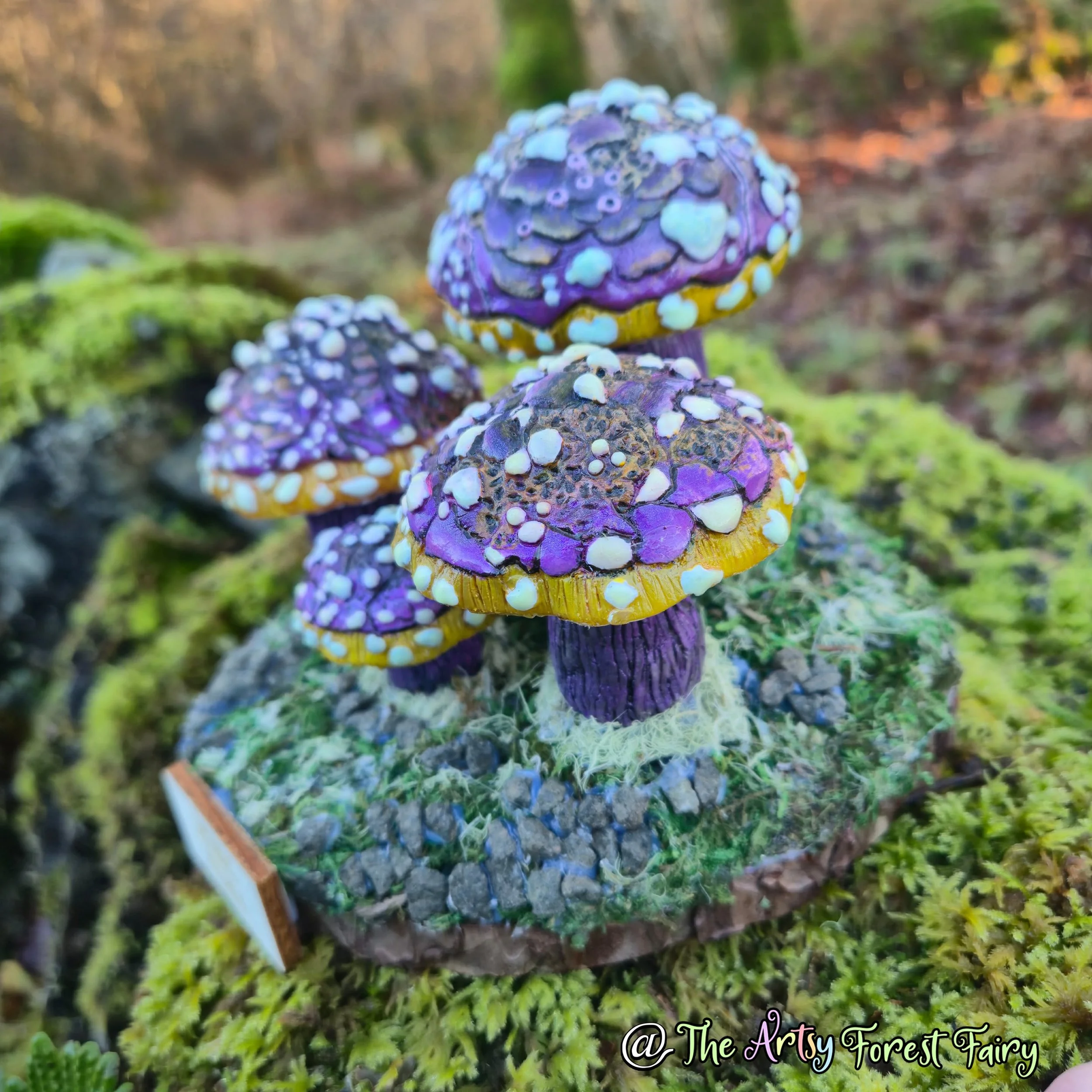 4f894109-fe7b-4a4c-8e03-72320eb672a1 copy.jpg