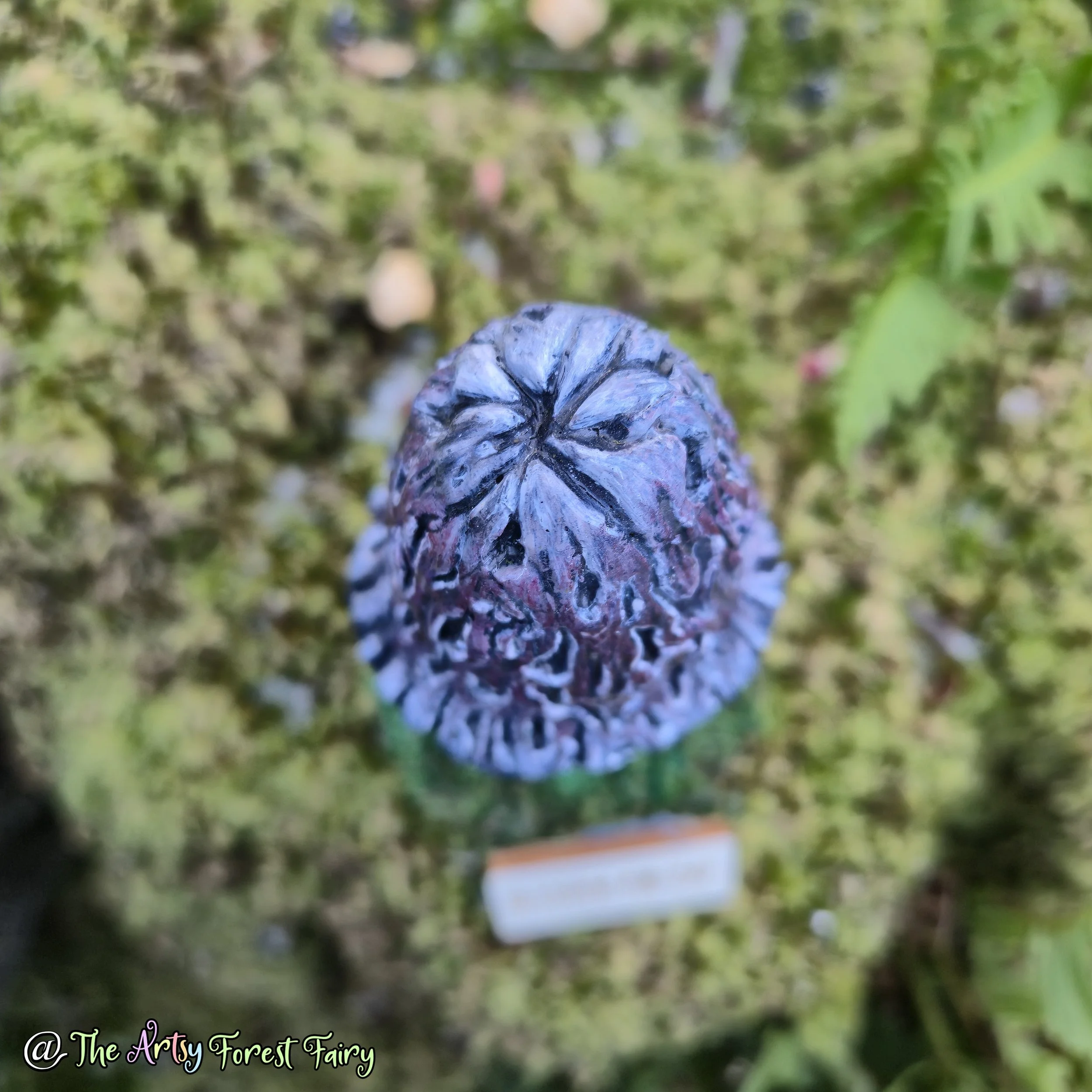 20260104_143457 copy.jpg