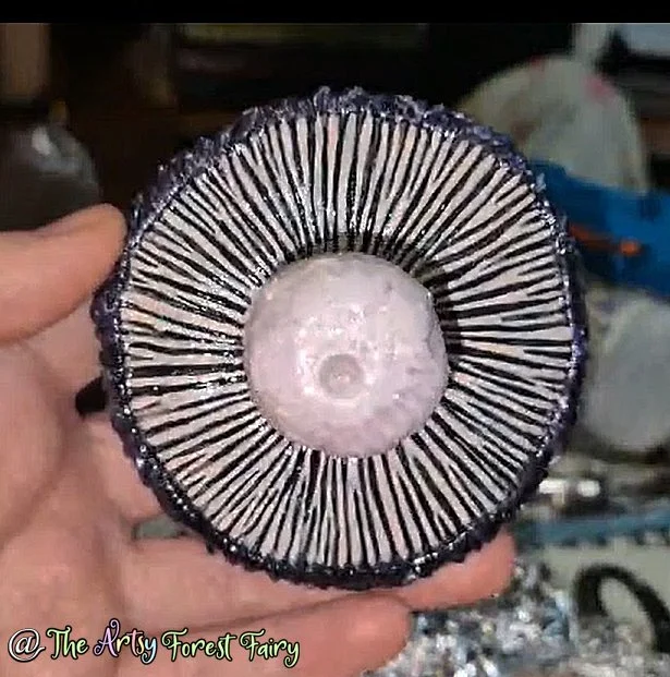 Screenshot (53) copy.jpg