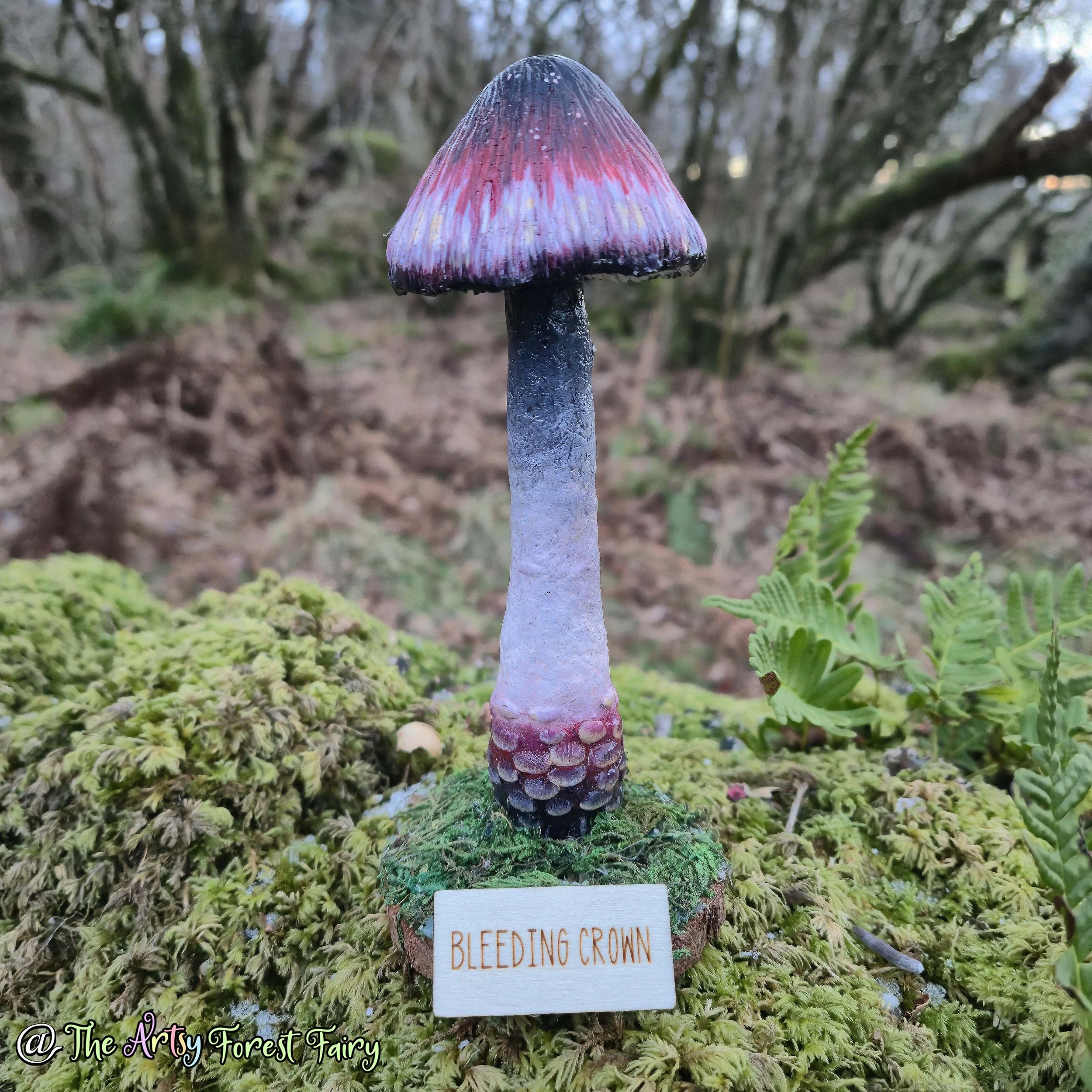 20260104_155344 copy.jpg