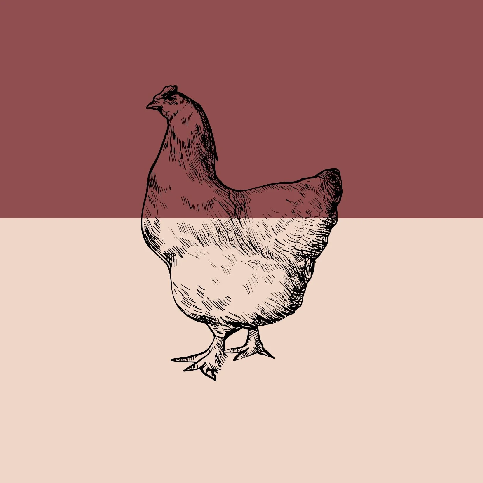 Organic Chicken Thighs