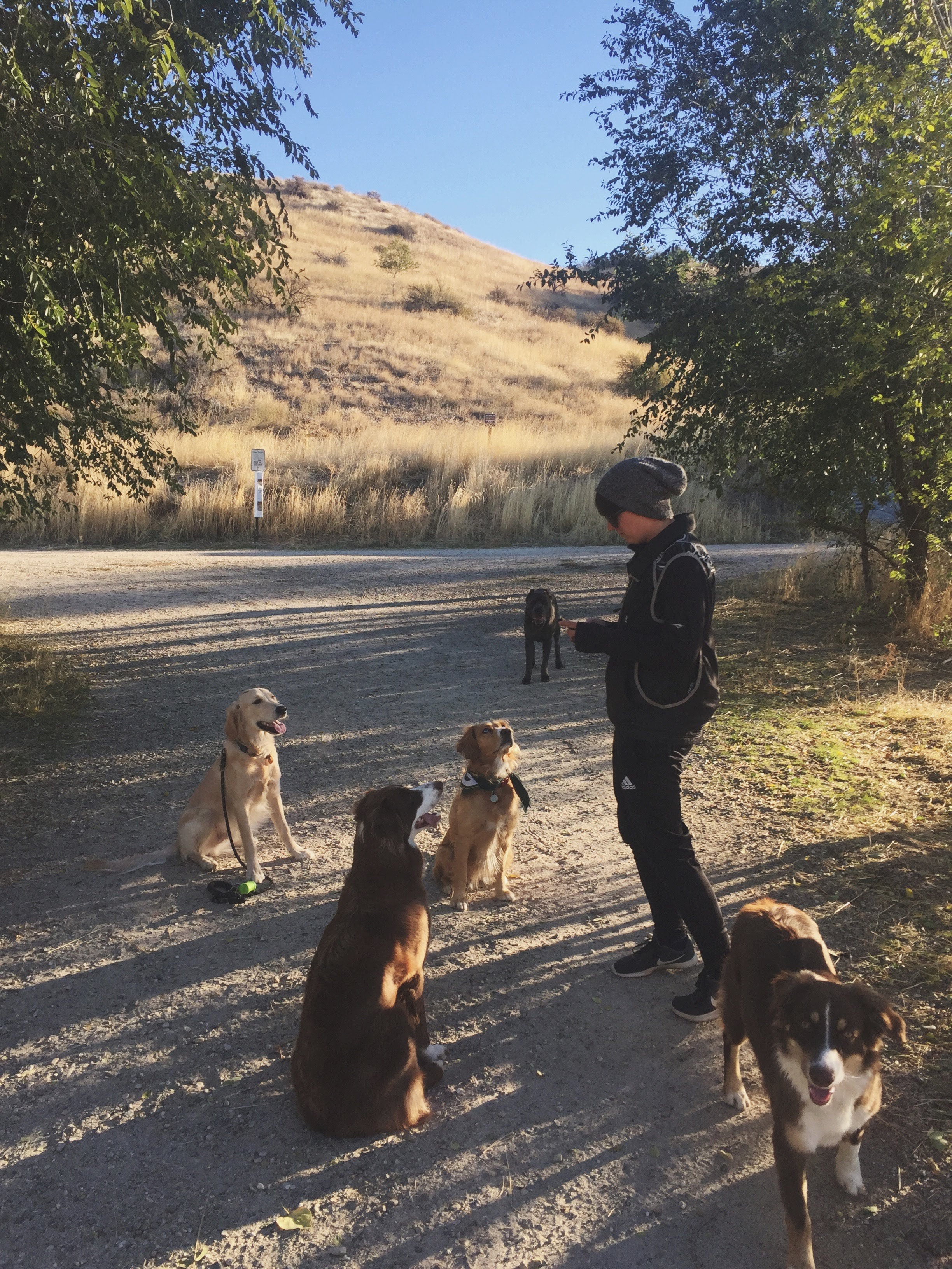 A person in a black jacket and gray beanie standing on a dirt trail, surrounded by six dogs of various breeds and colors, with some sitting and one standing. The scene is outdoors with trees and a grassy hillside in the background, in Boise.