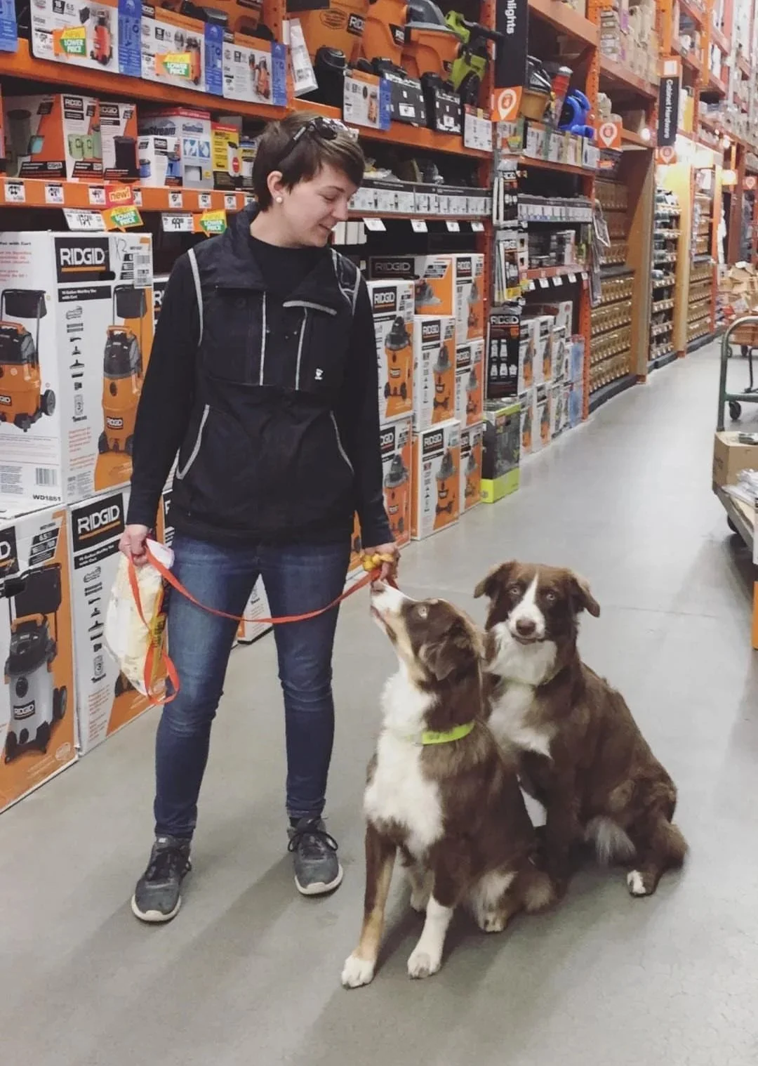 A woman with short hair, wearing a black vest and jeans, is holding two dogs on leashes in a big hardware store aisle. The dogs are sitting on the floor, one looking up at her, and the other looking at the camera. The store is in Boise.