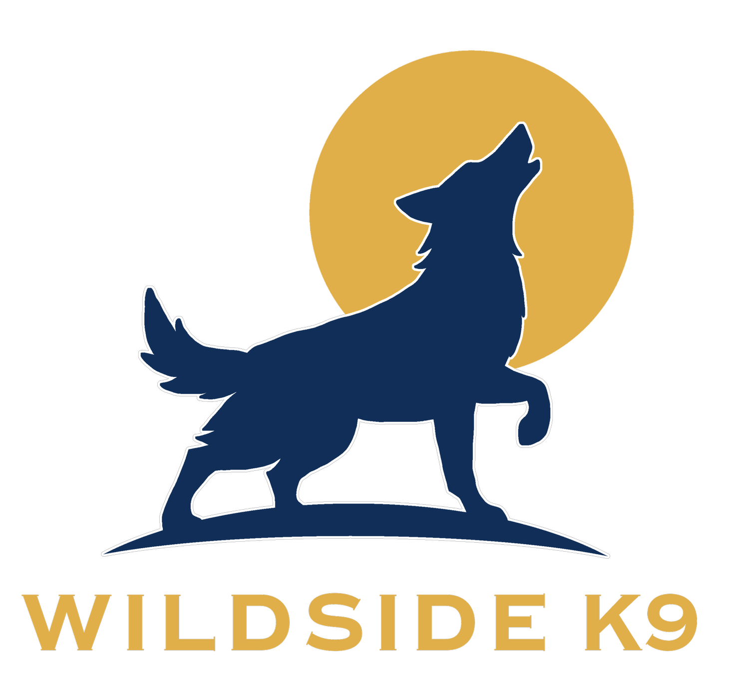 Wildside K9 Dog Trainer Boise, Meridian, Eagle, Treasure Valley