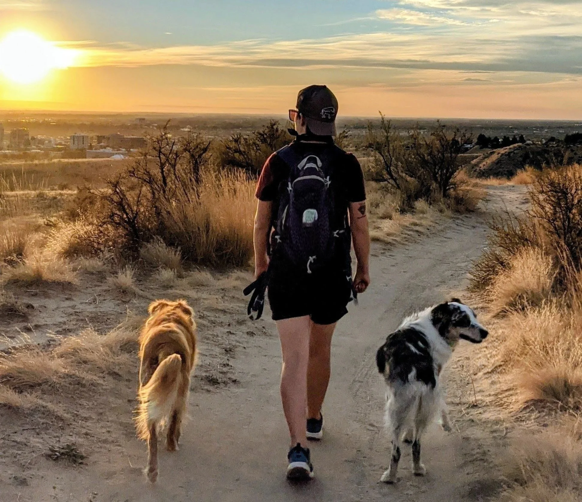 A Boise person walking on a dirt trail with two dogs during sunset in a dry, grassy landscape.