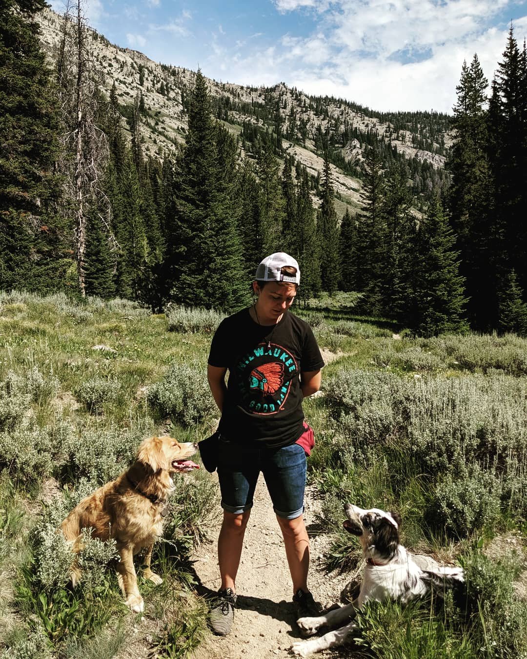 A Boise person standing on a trail in a forested mountain landscape, with two dogs sitting nearby, one golden retriever and one black and white border collie, surrounded by tall green trees and mountainous terrain in the background.