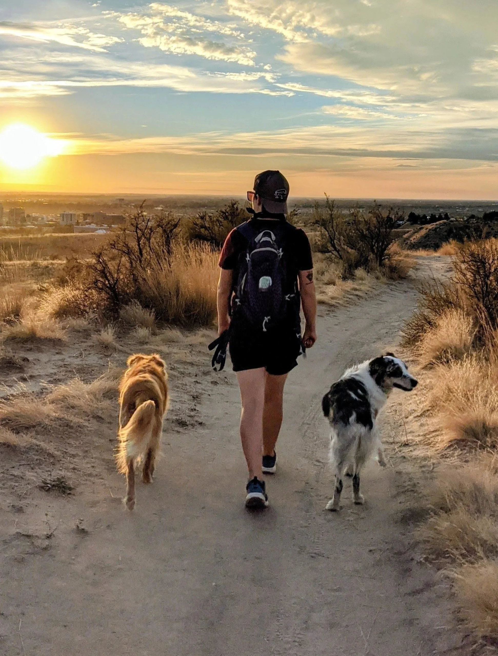 Person walking on a dirt trail in the Boise foothills with two dogs at sunset, overlooking a landscape with grass and sparse trees.