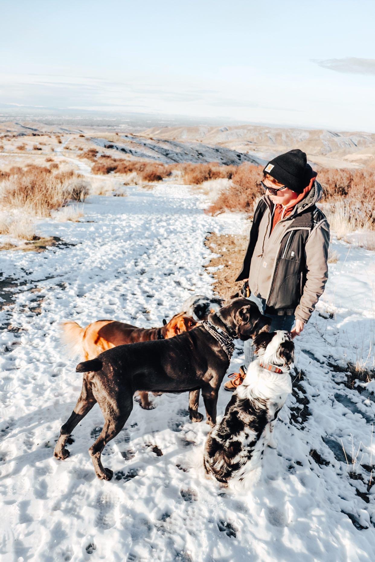 A person in a winter jacket and beanie stands on a snow-covered trail in Boise, surrounded by four dogs, in a mountainous landscape.