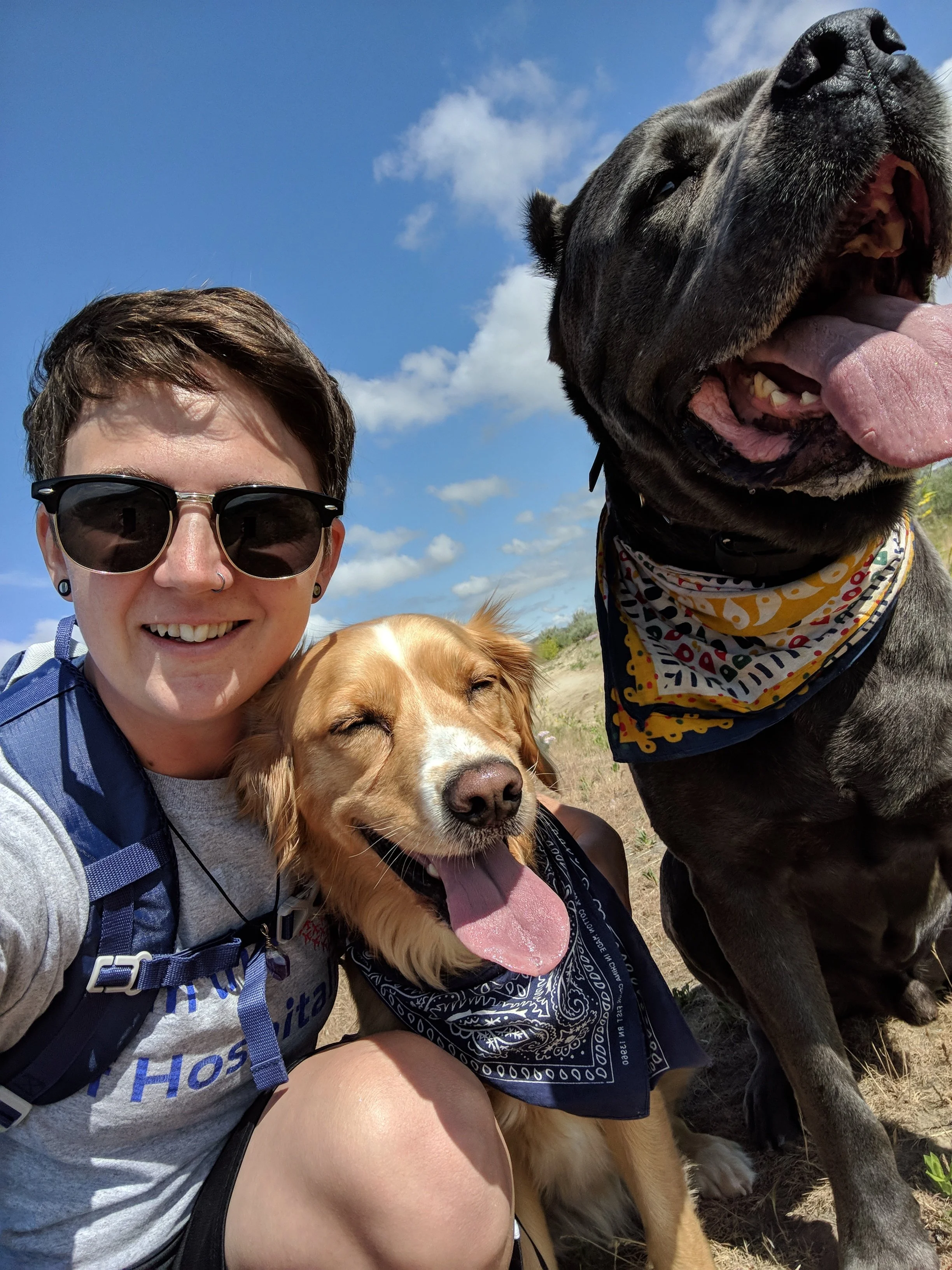A person with short brown hair, sunglasses, and a gray shirt smiles next to two happy dogs outdoors on a sunny day with a blue sky and clouds. One dog is golden retriever, and the other is a large black dog with a colorful bandana in Boise.