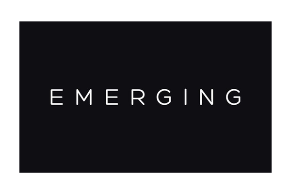 Emerging Fund Logo.png