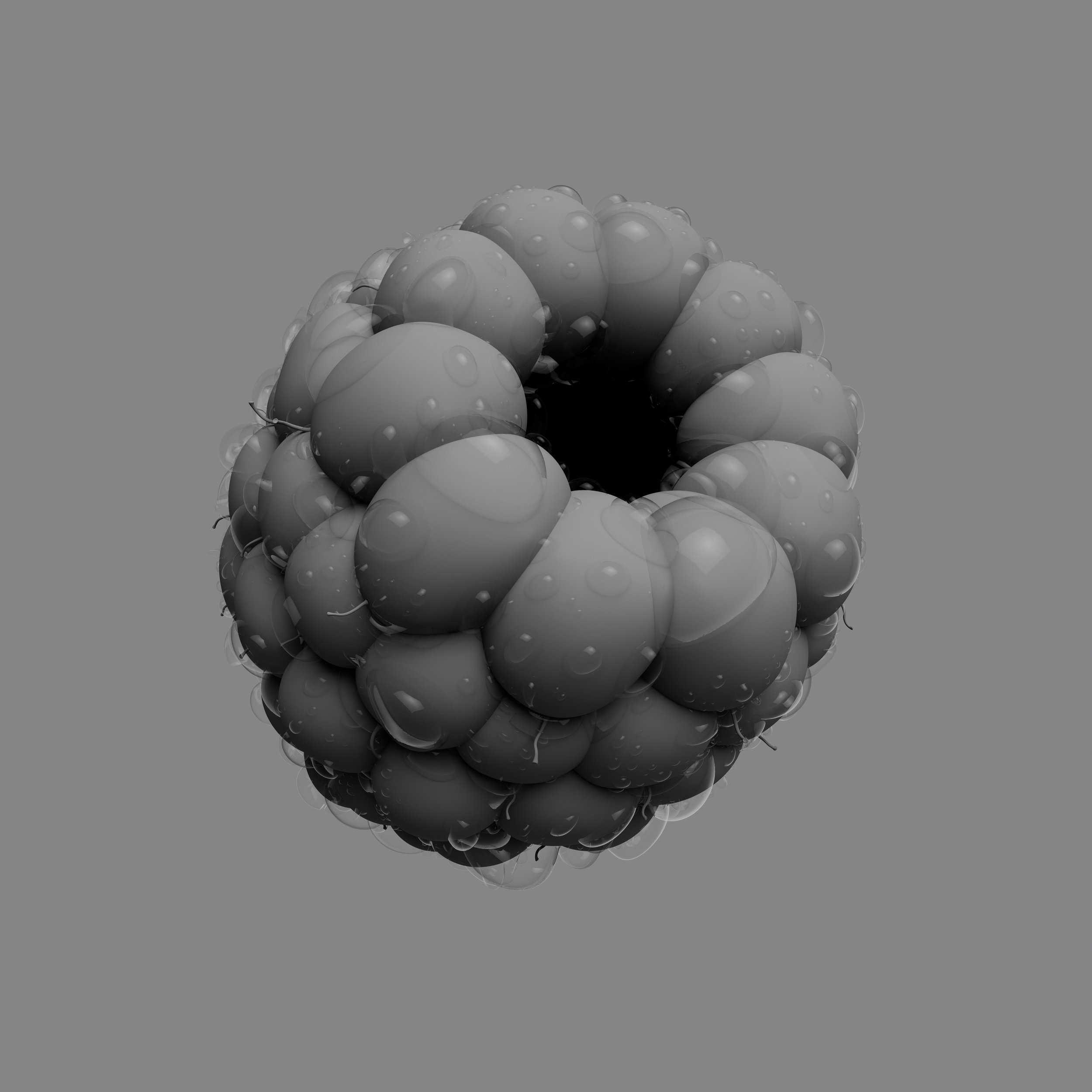 RASPBERRY - CGI - CLAY
