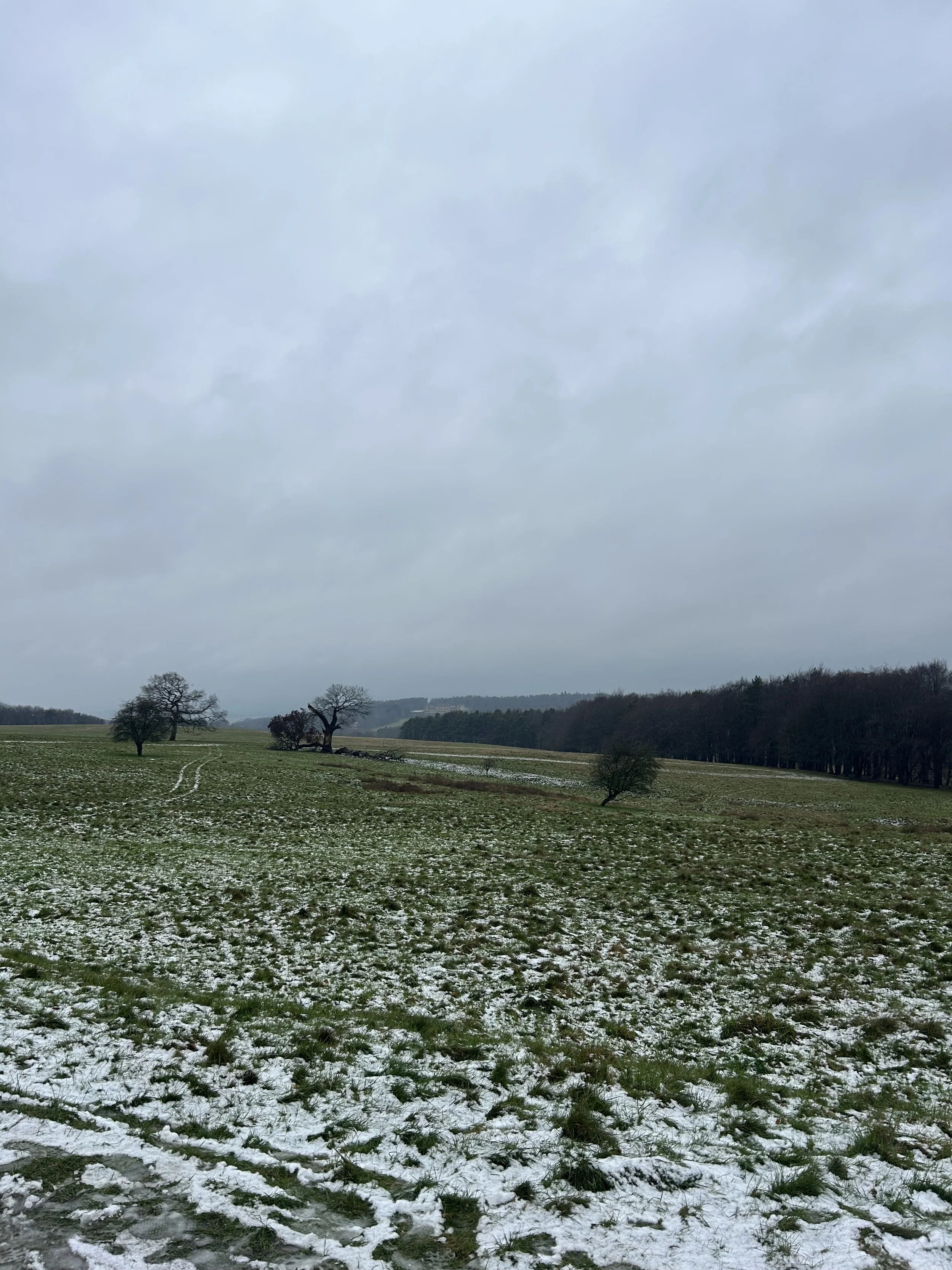 IMG_7231.jpeg
