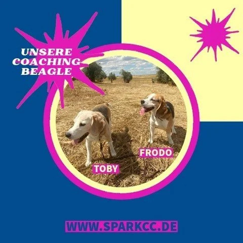 Meet the Team - Unsere Coaching Beagle! 

Bei SPARK sind wir stolz darauf, anlassbezogen in einem tollen Netzwerk von erfahrenen Coaches arbeiten zu d&uuml;rfen. Und auch im eigenen Team sind Experten, die wir Euch gerne vorstellen, allen voran Toby 