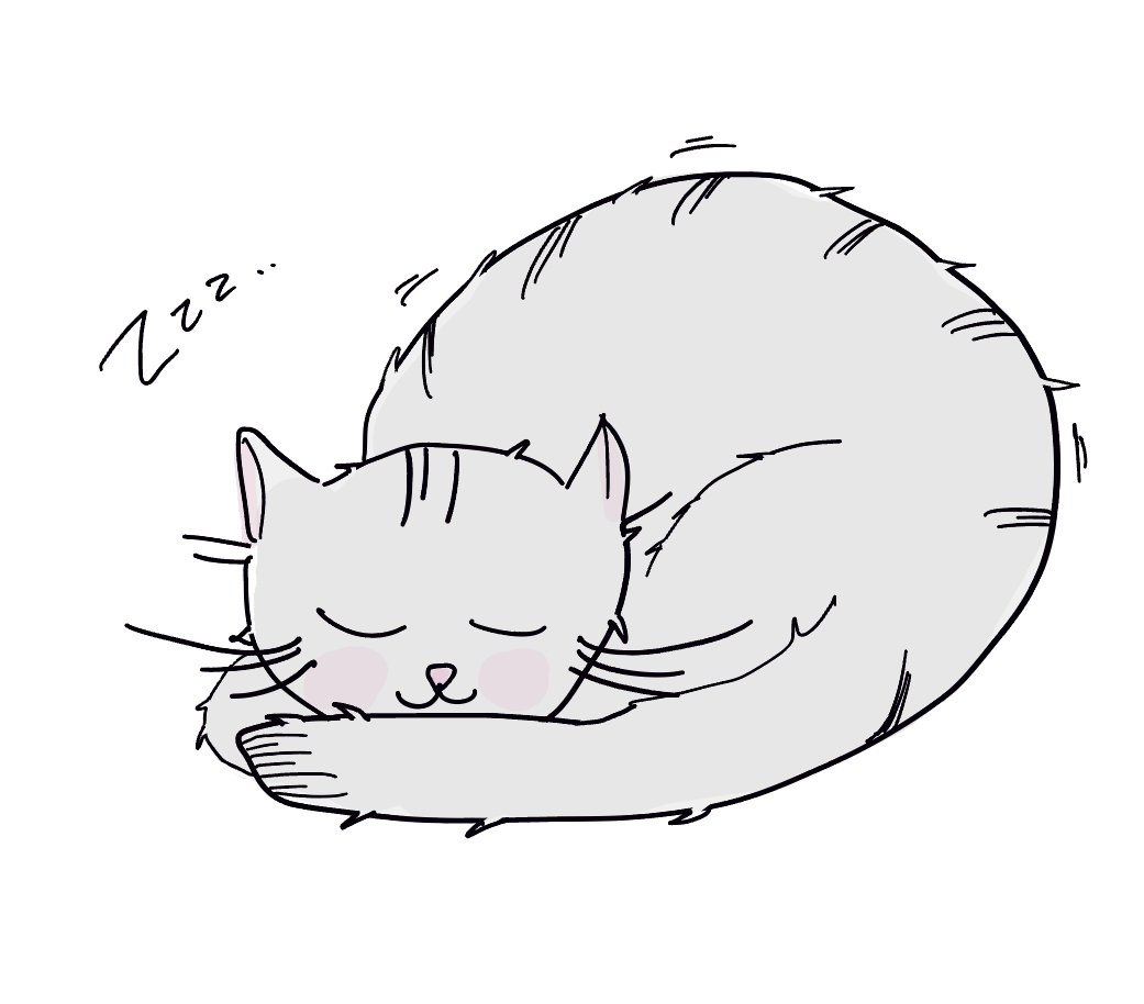 IMG_0748.PNG