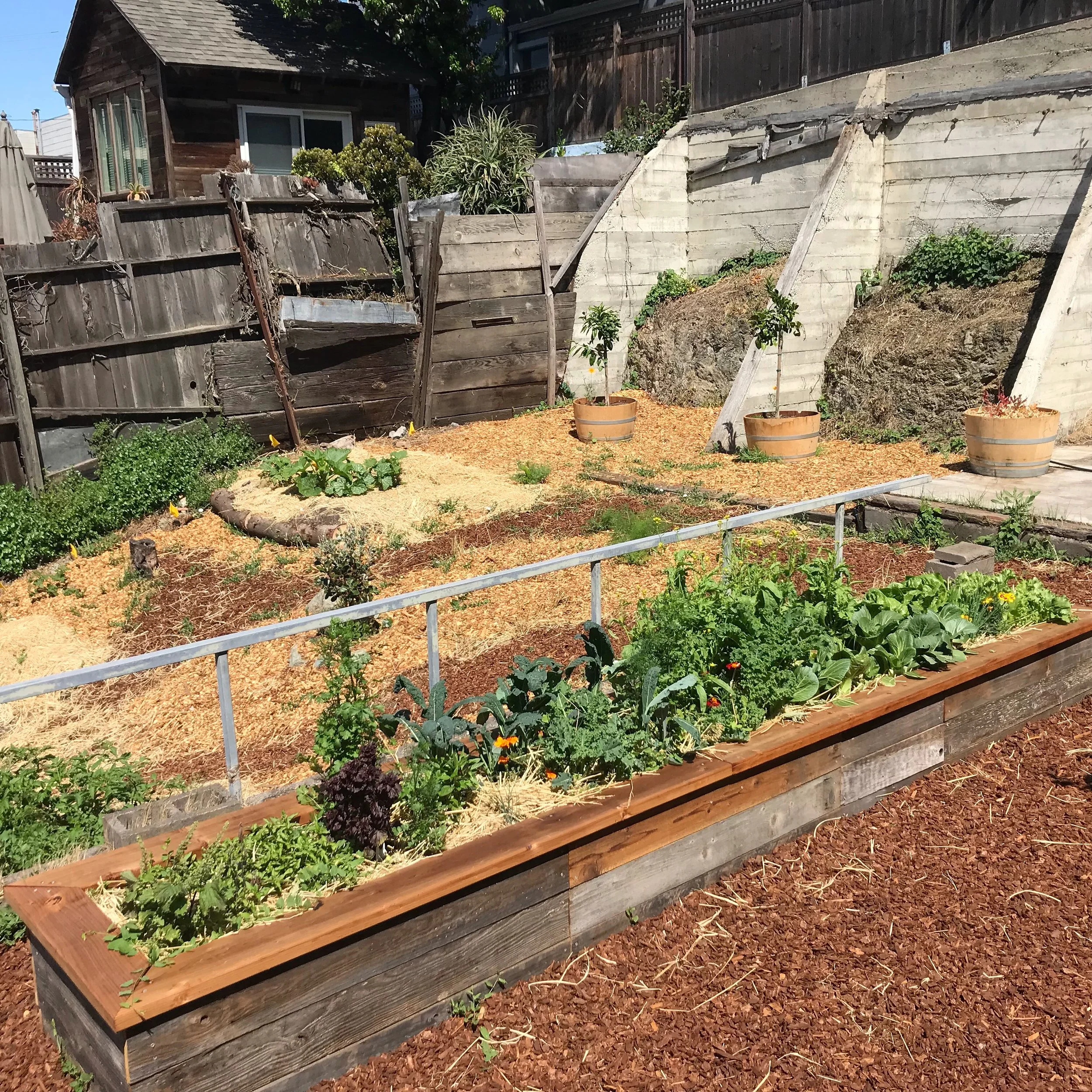 Design consultation permaculture garden