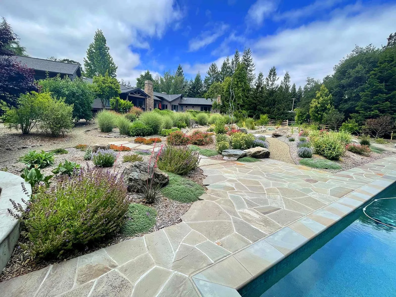Native landscape design with pool patio