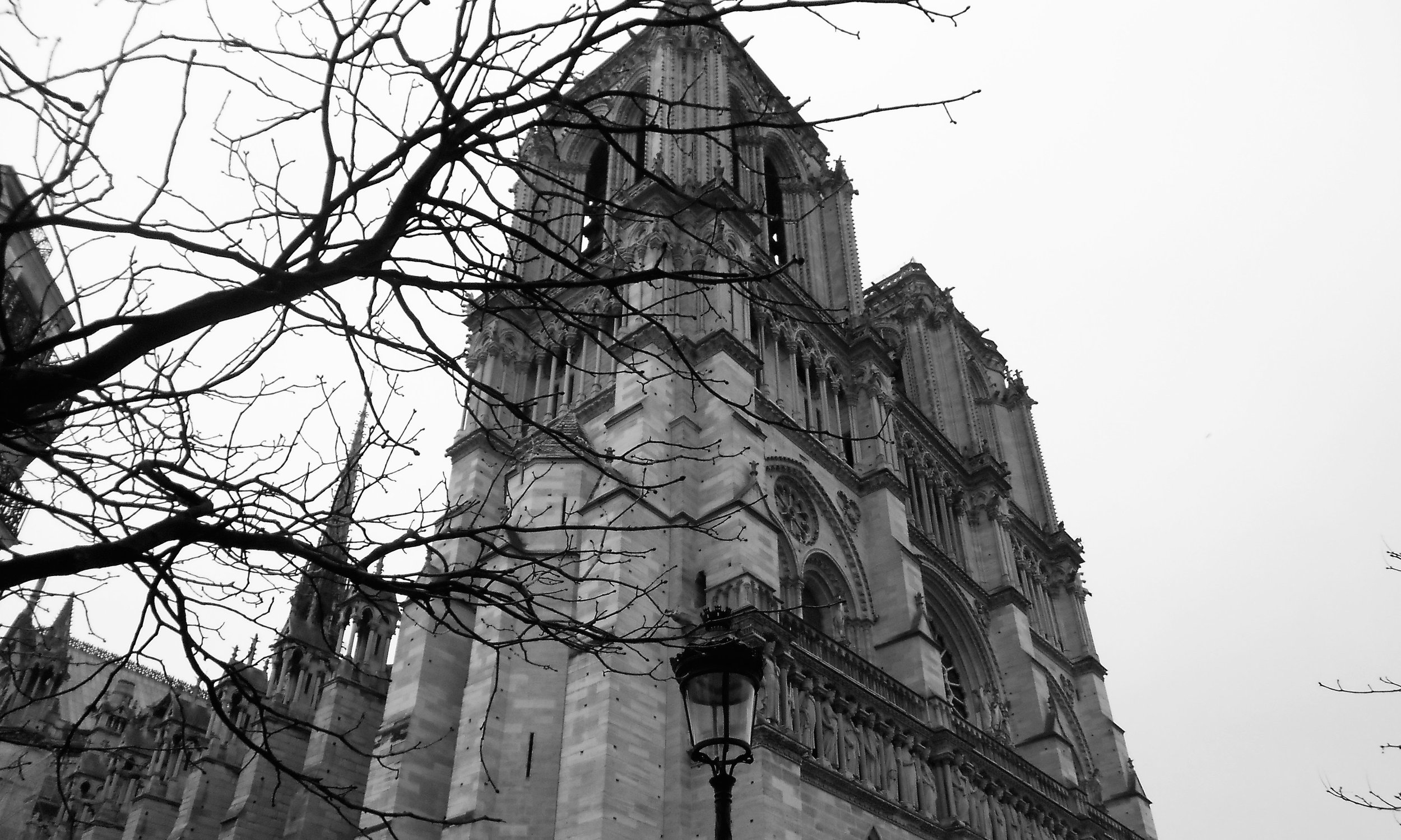 watermarkPhoto-67(9).jpeg