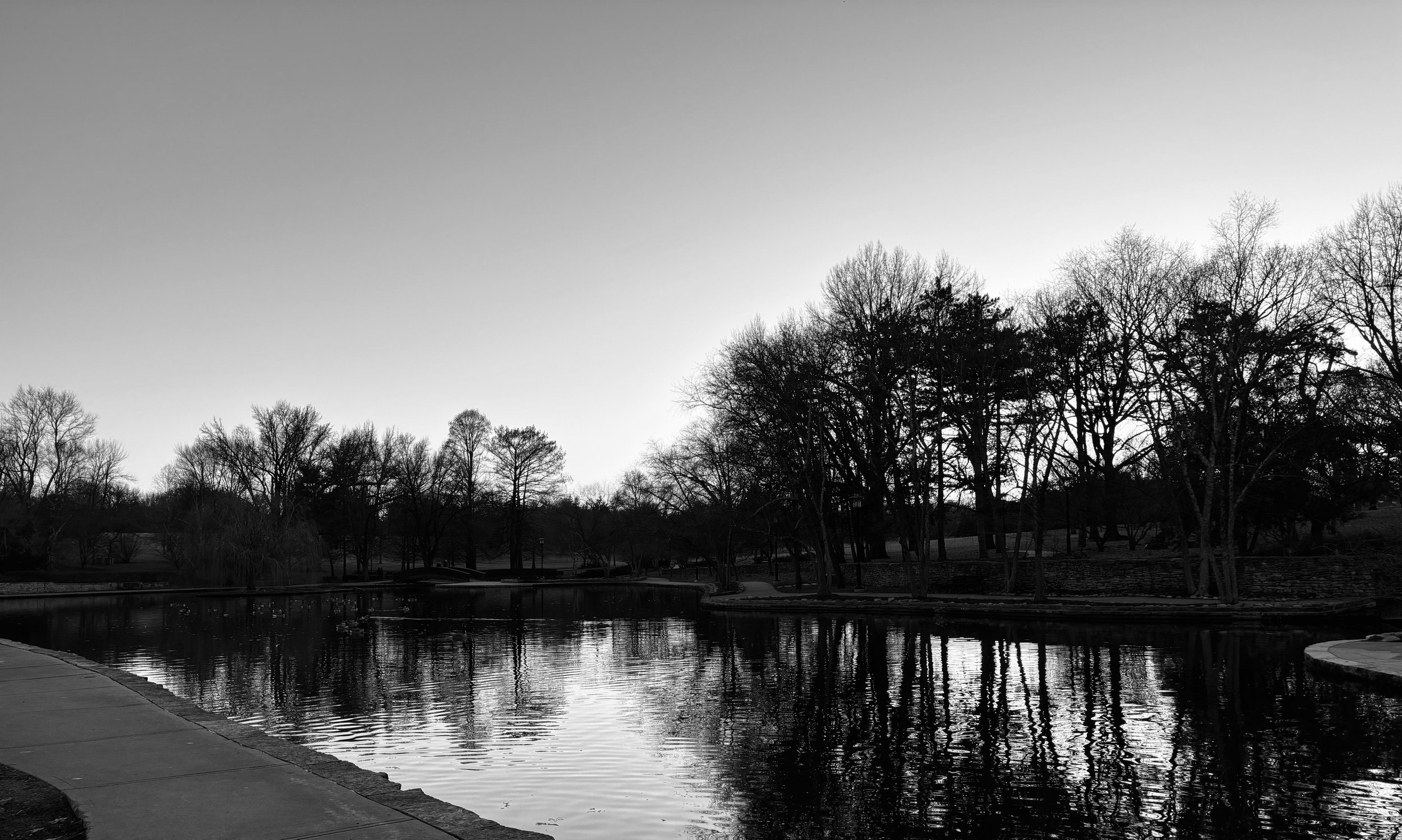 watermarkPhoto-20(10).jpeg