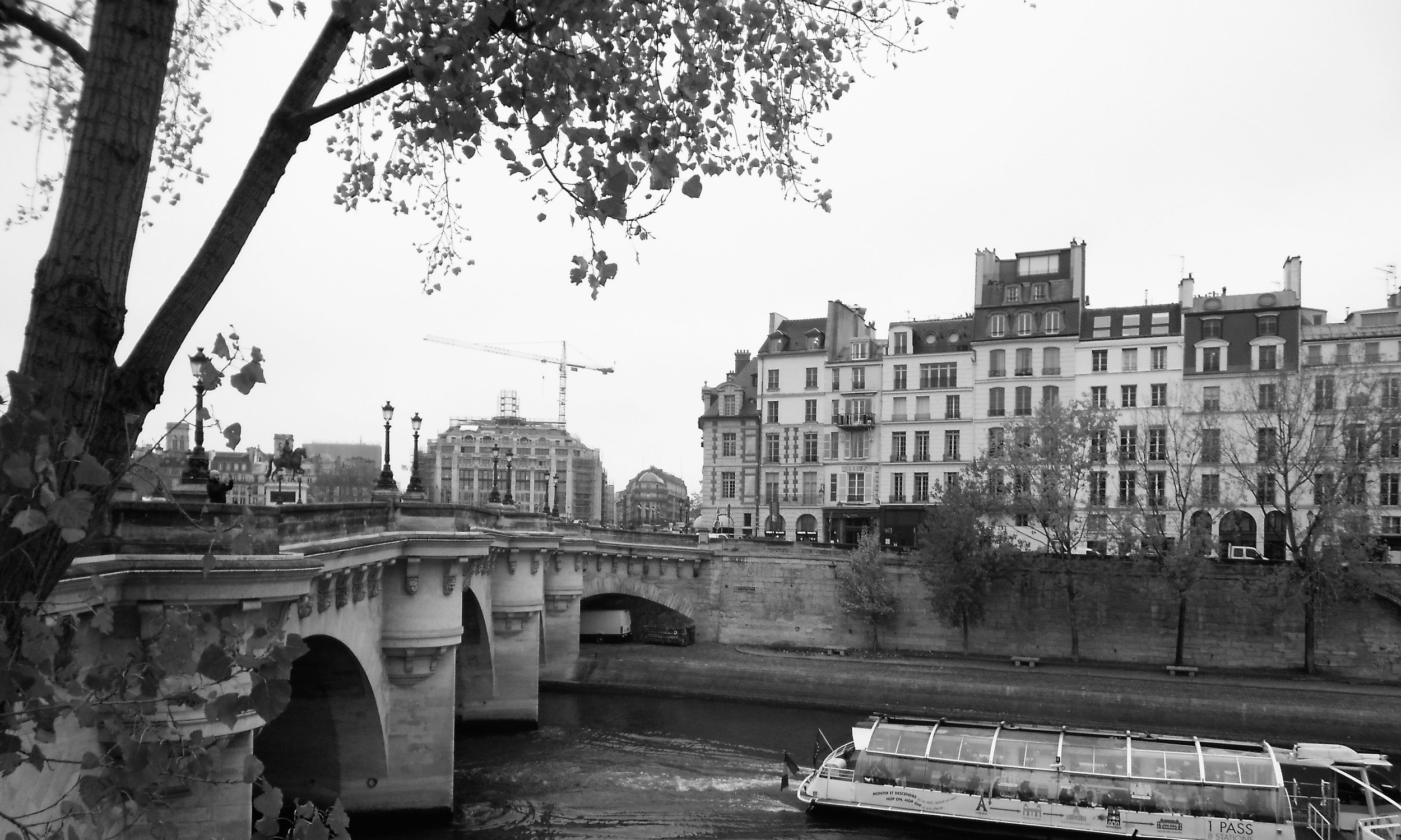 watermarkPhoto-12(8).jpeg