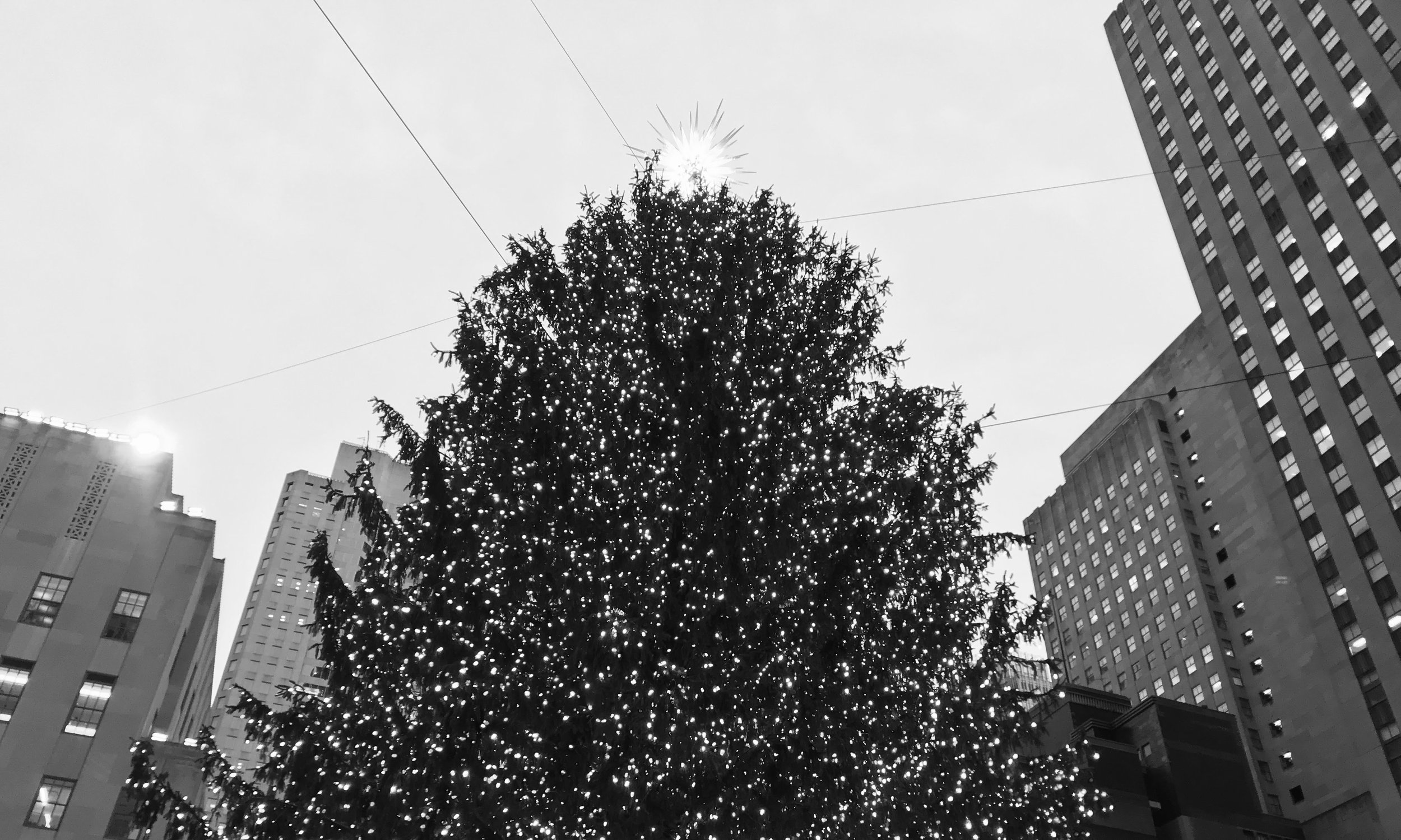 watermarkPhoto-31(9).jpeg