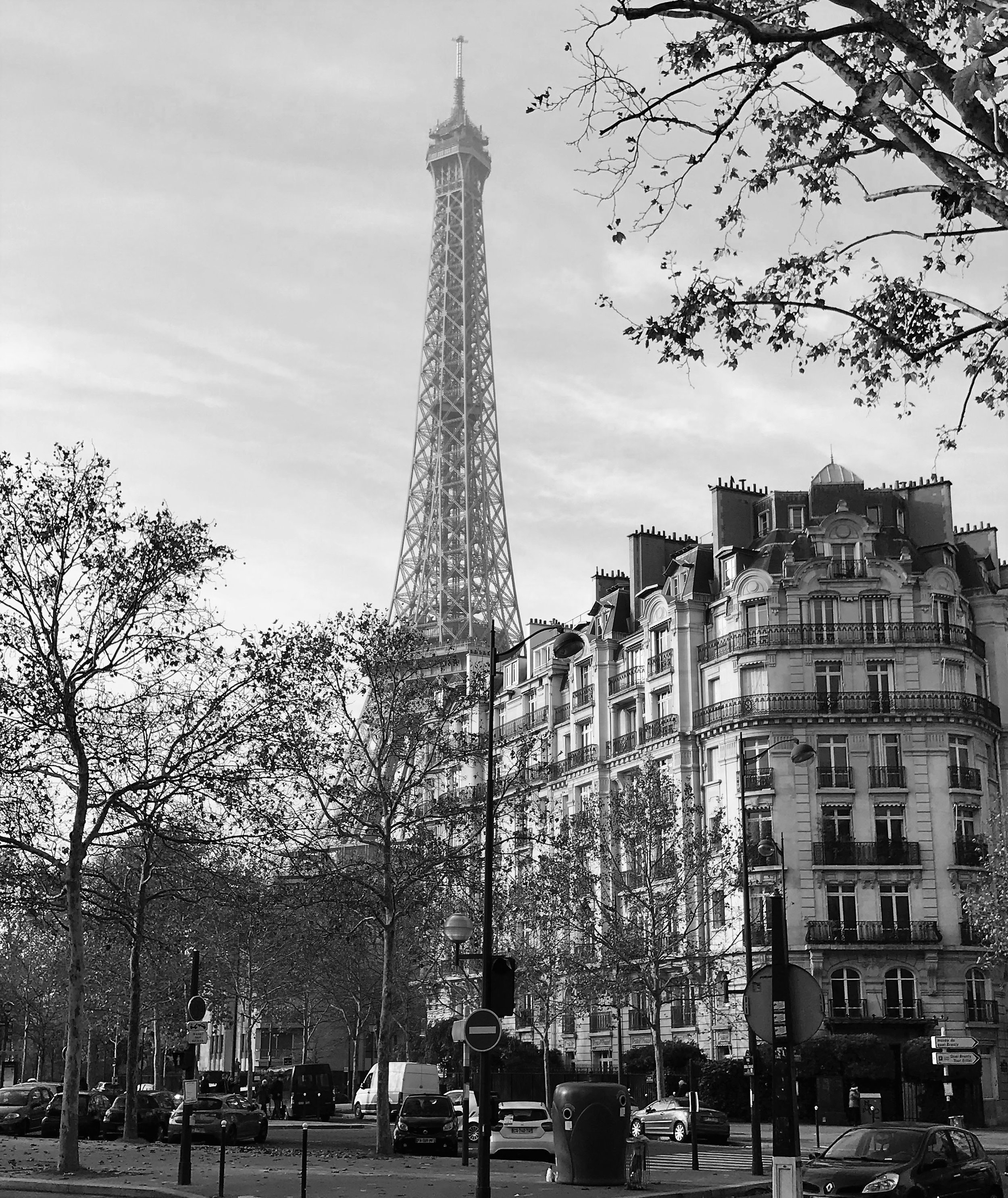 watermarkPhoto-10(7).jpeg