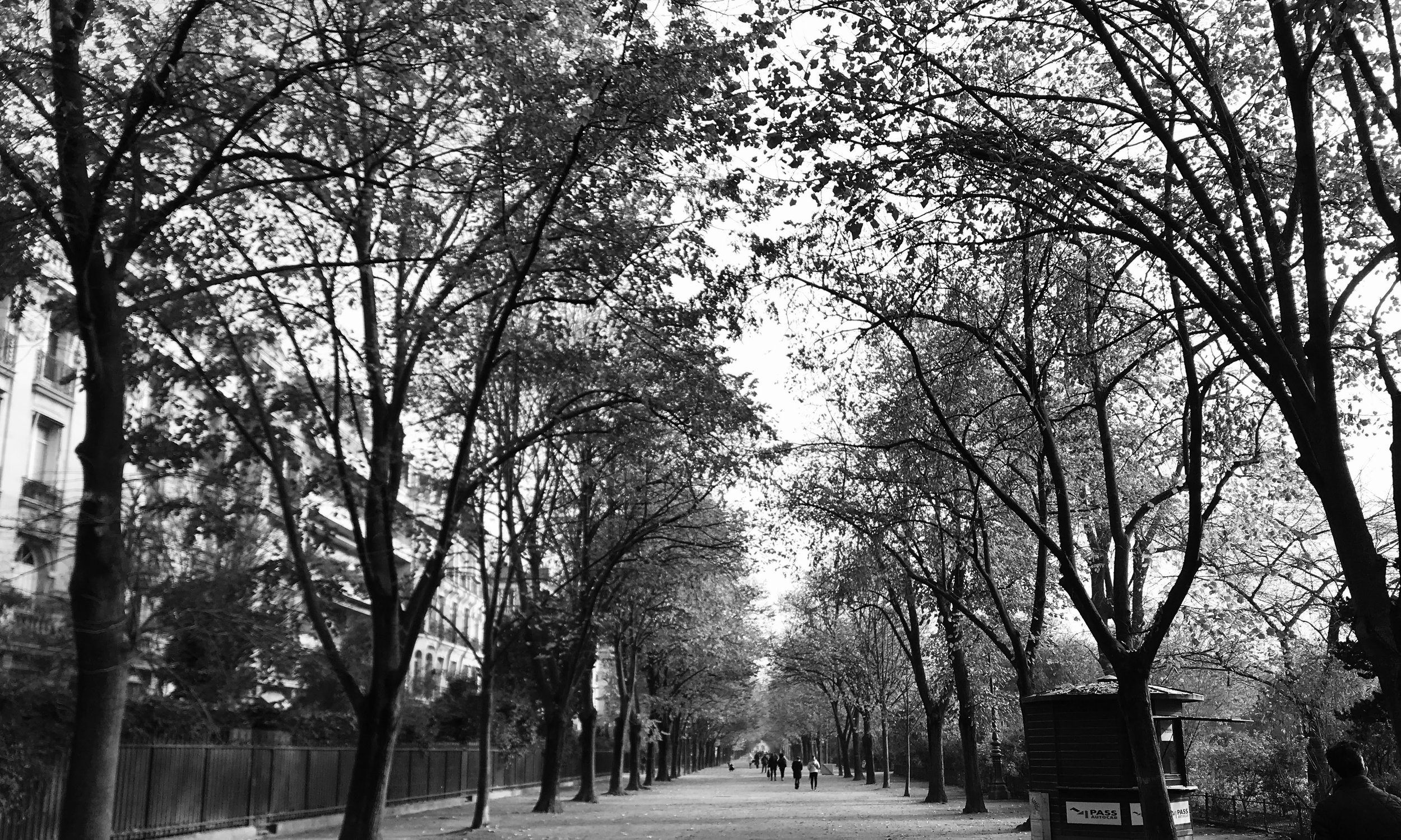 watermarkPhoto-20(9).jpeg