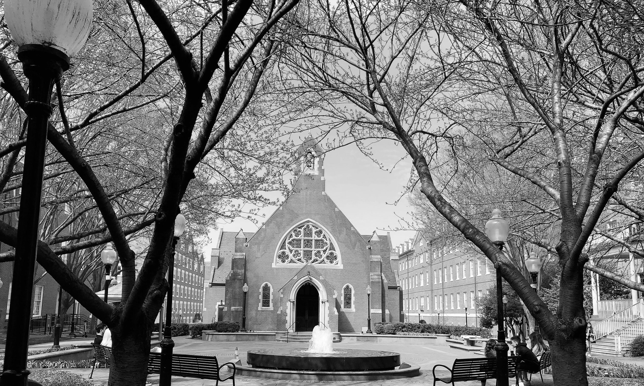 watermarkPhoto-57(9).jpeg
