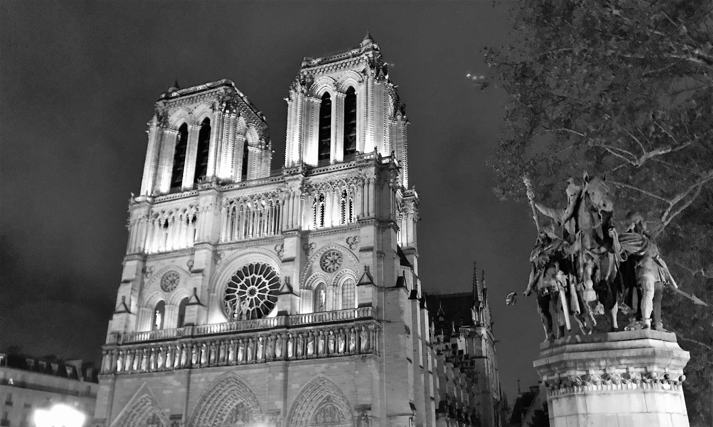 watermarkPhoto-23(9).jpeg