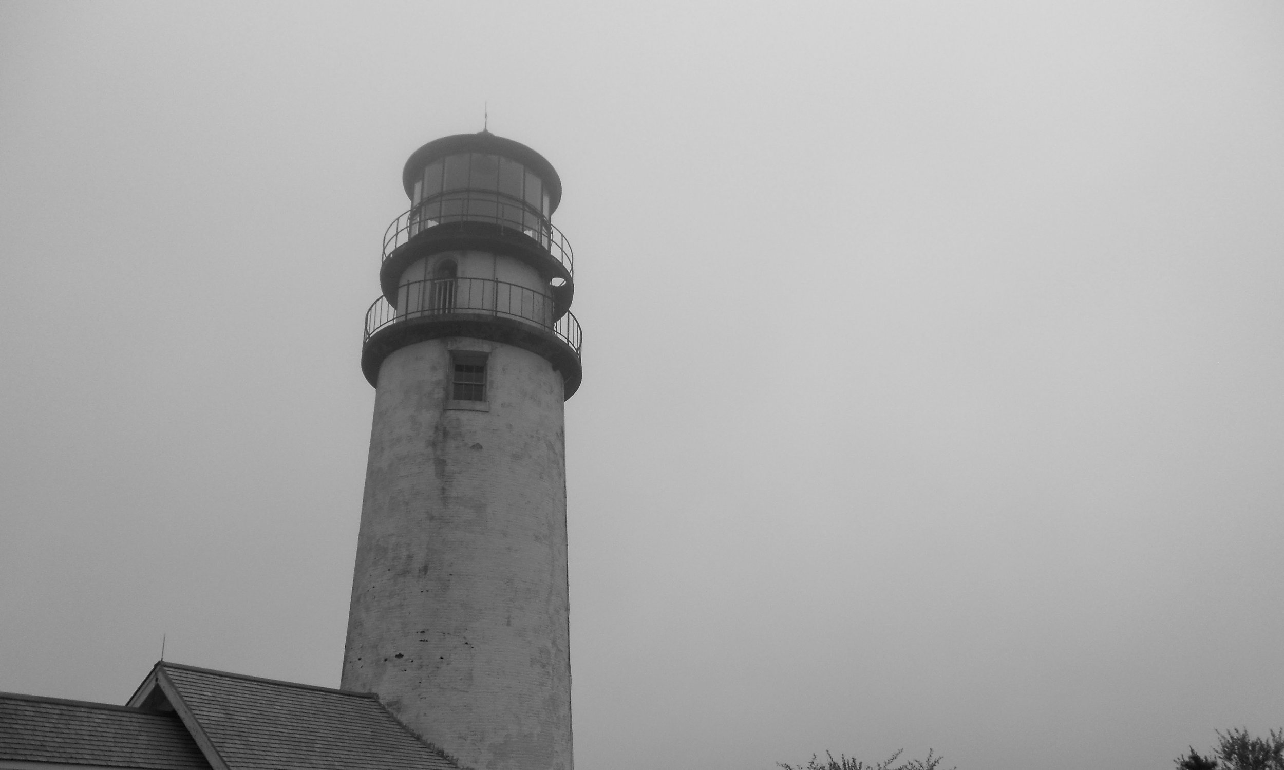 watermarkPhoto-50(10).jpeg