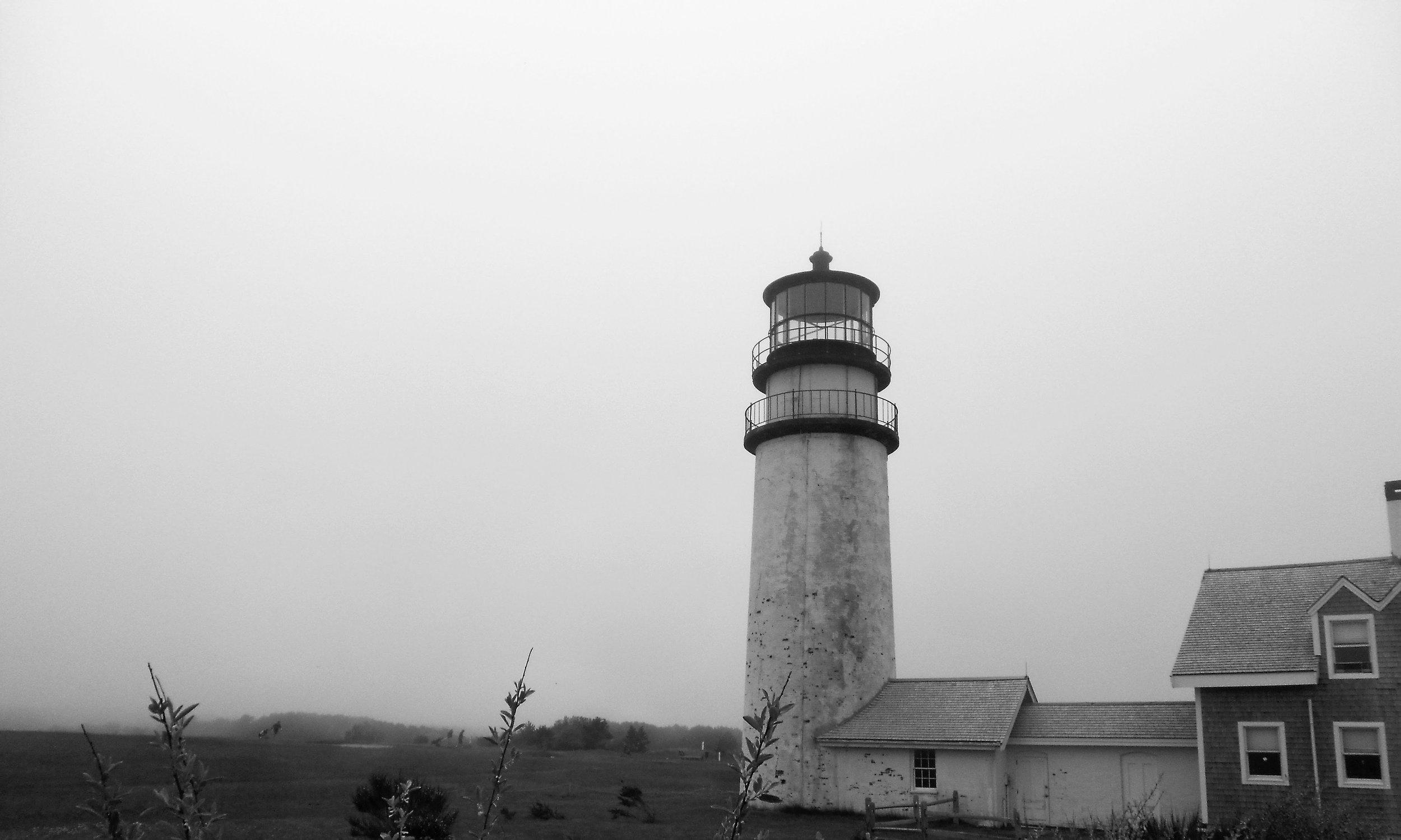 watermarkPhoto-98(8).jpeg