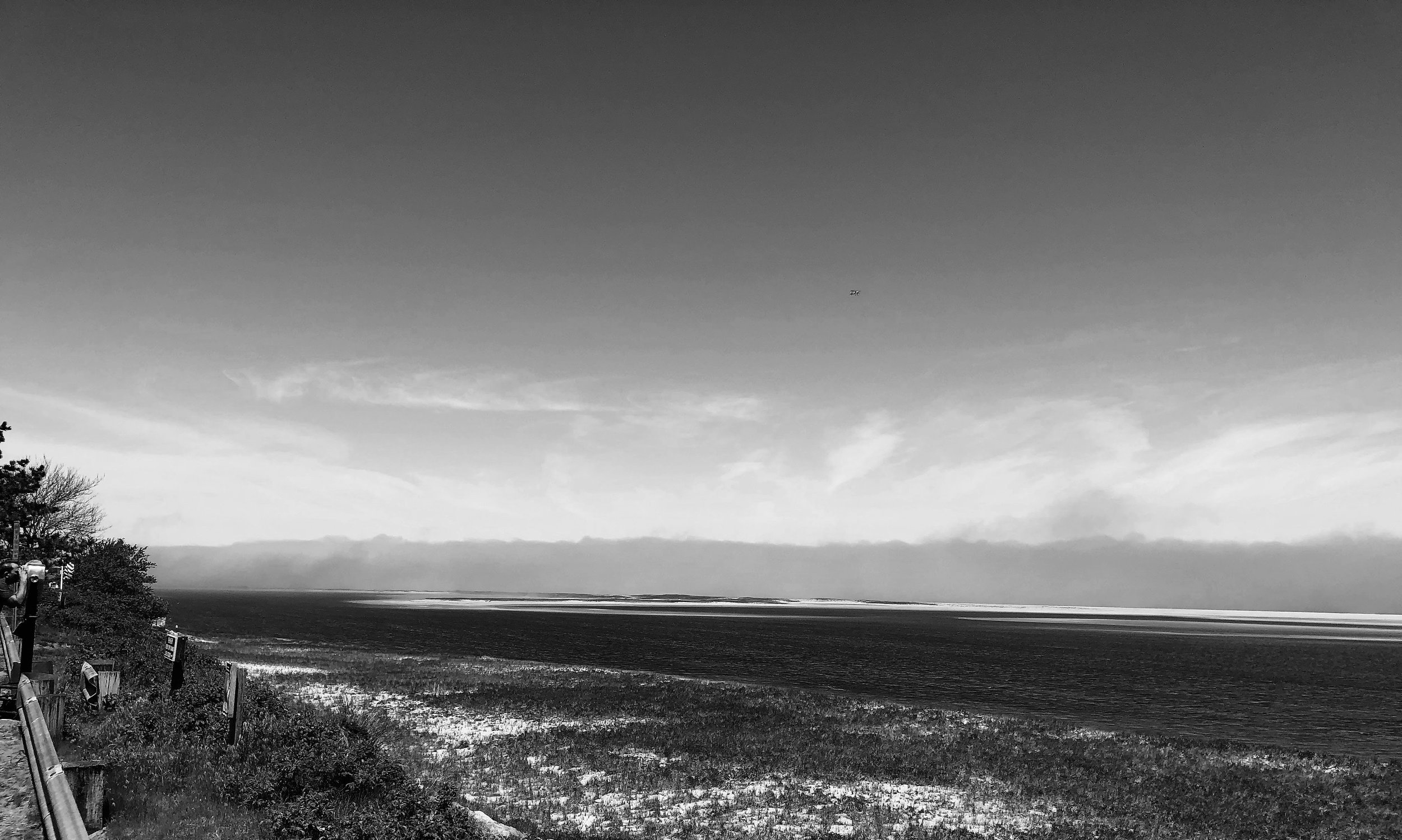 watermarkPhoto-95(7).jpeg