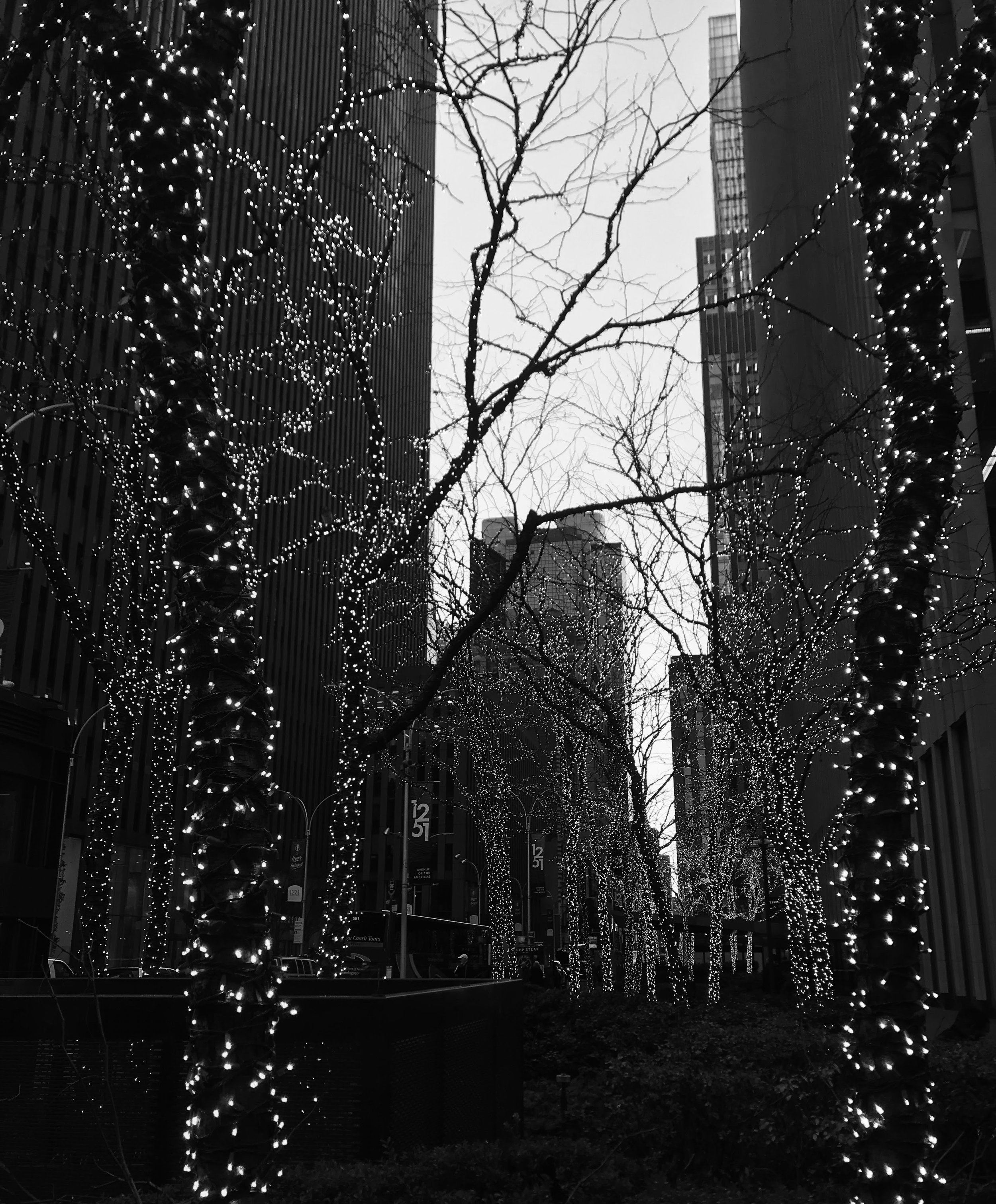 watermarkPhoto-33(9).jpeg