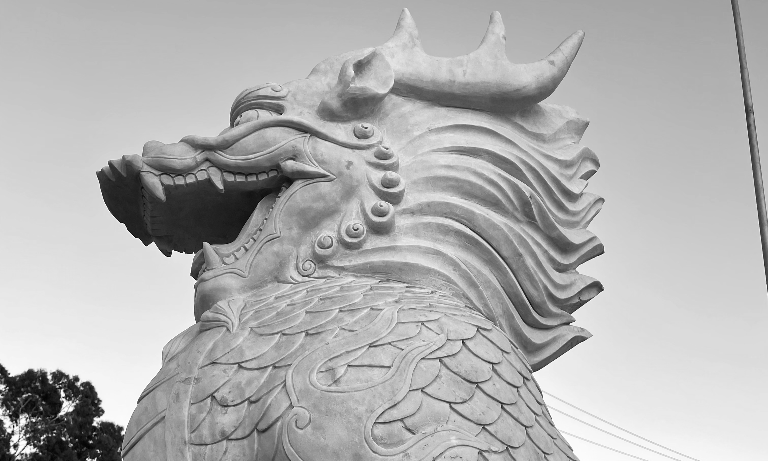 watermarkPhoto-84.png