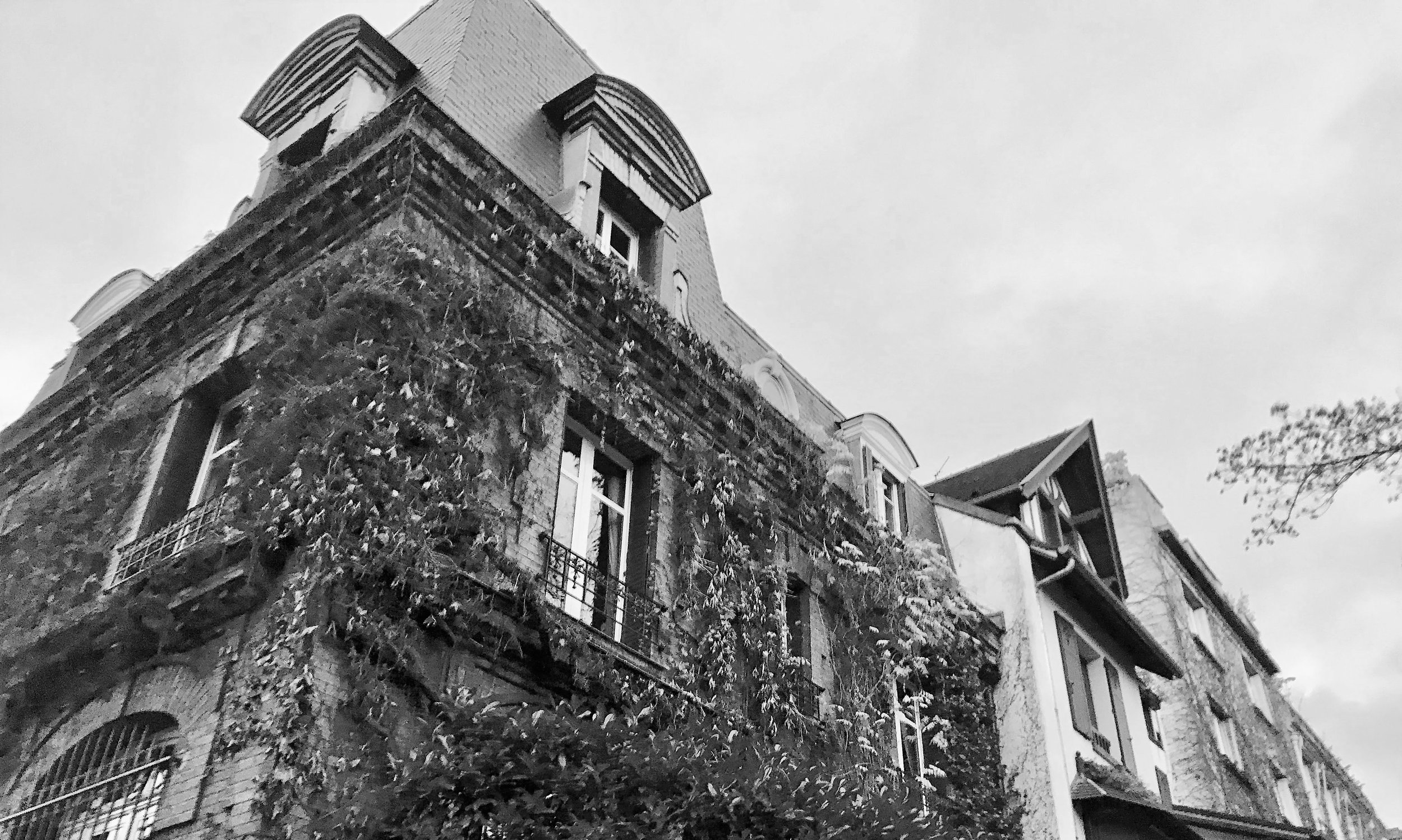 watermarkPhoto-37(9).jpeg