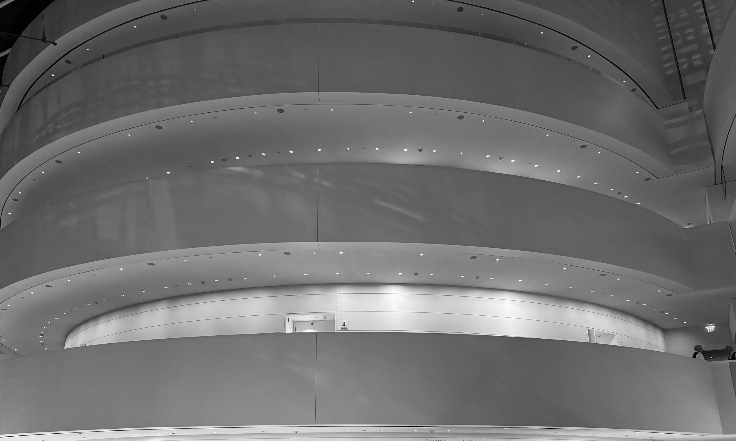 watermarkPhoto-18(10).jpeg
