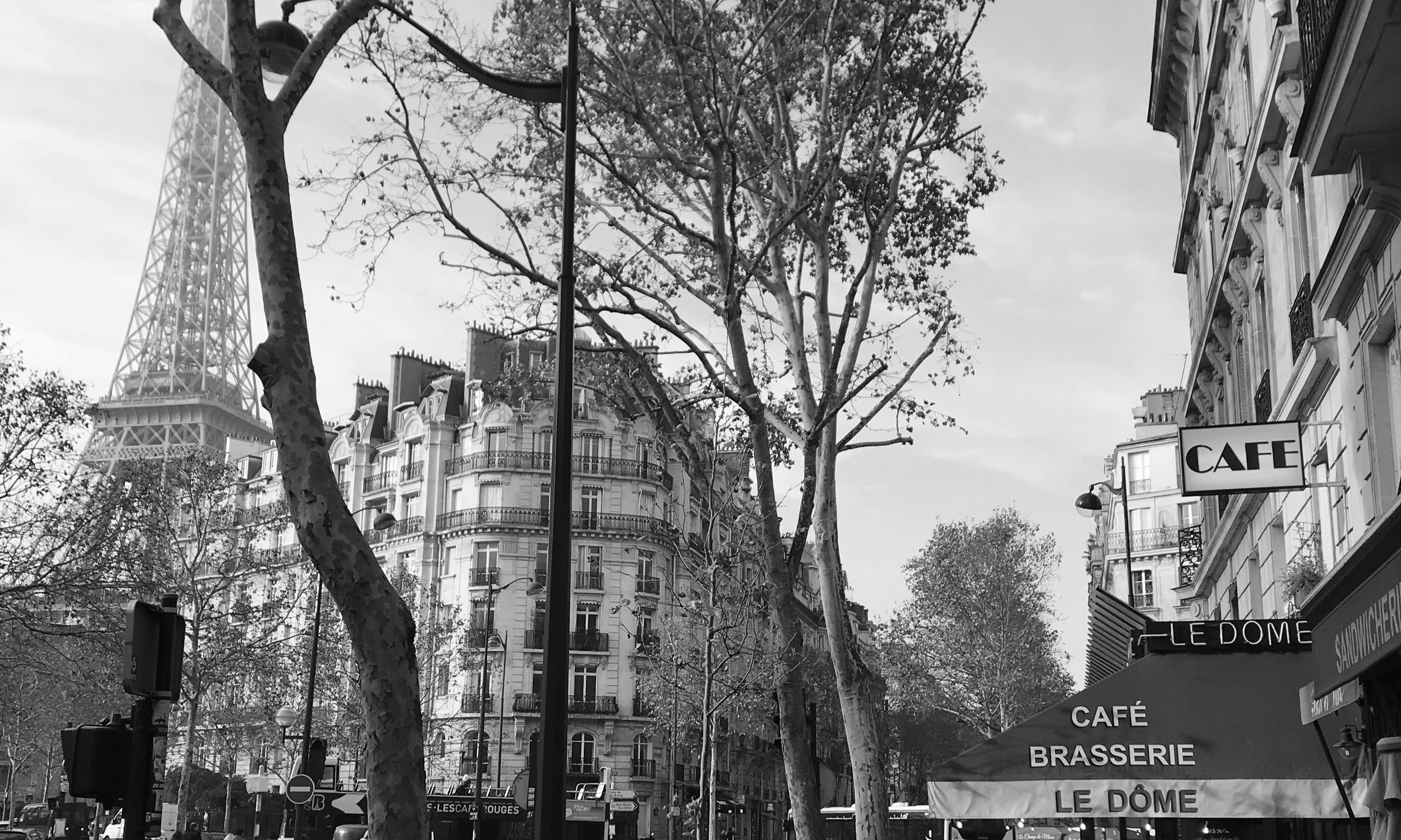 watermarkPhoto-19(9).jpeg