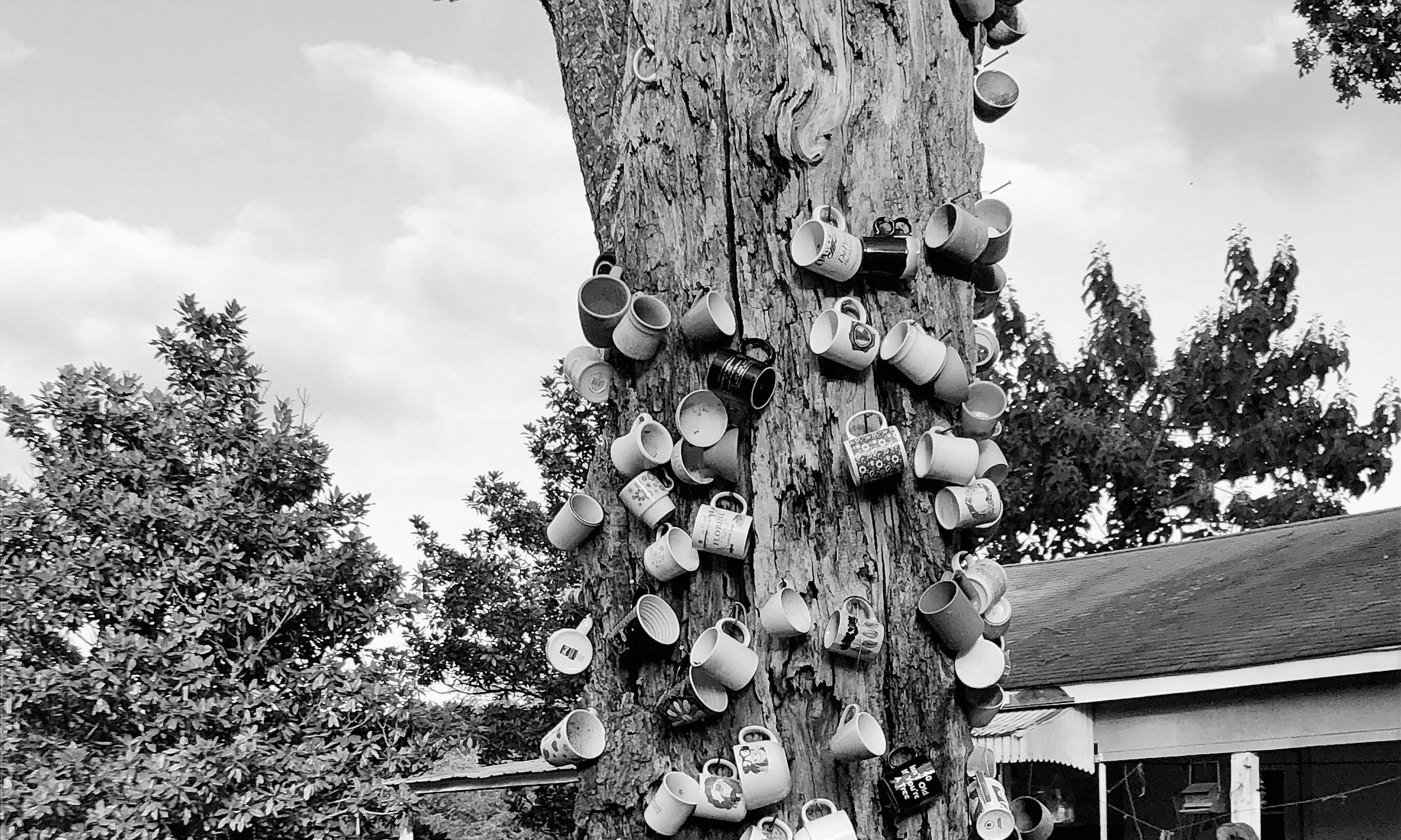 watermarkPhoto-71(11).jpeg