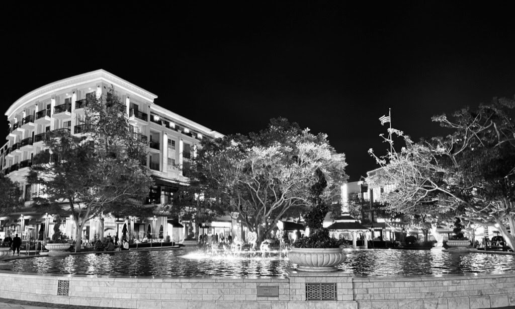 watermarkPhoto-69(11).jpeg