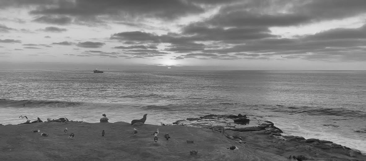 watermarkPhoto-56(12).jpeg