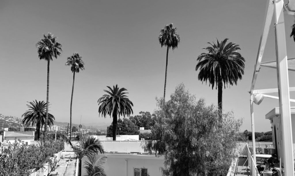 watermarkPhoto-77(10).jpeg