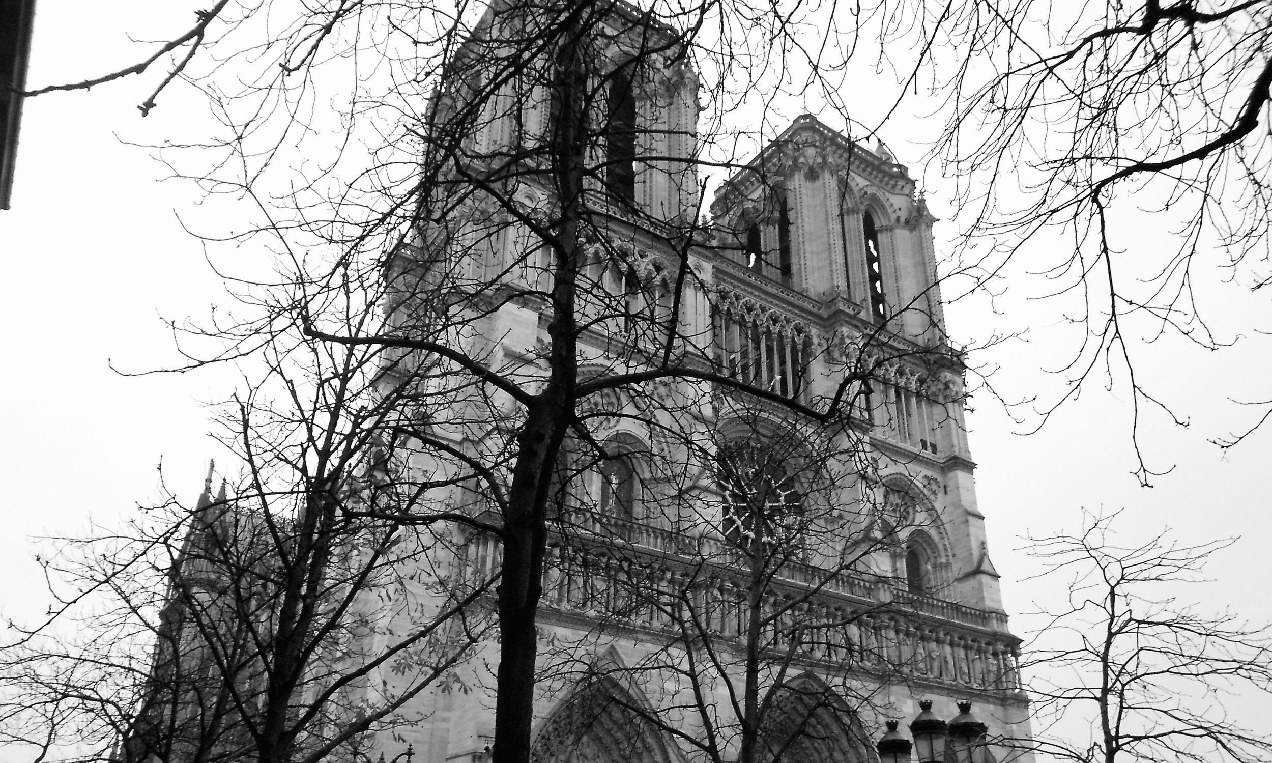 watermarkPhoto-66(10).jpeg