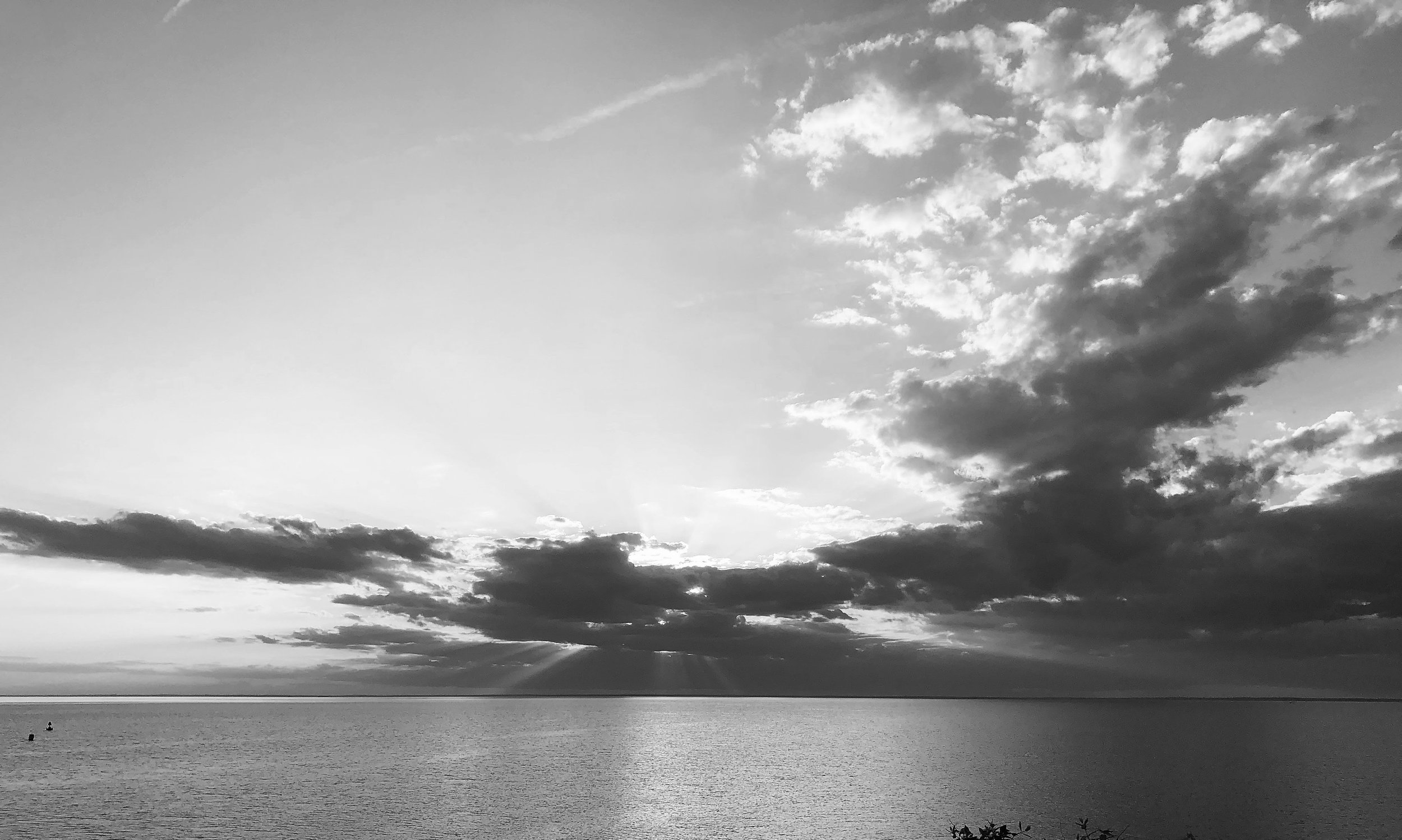 watermarkPhoto-91(7).jpeg
