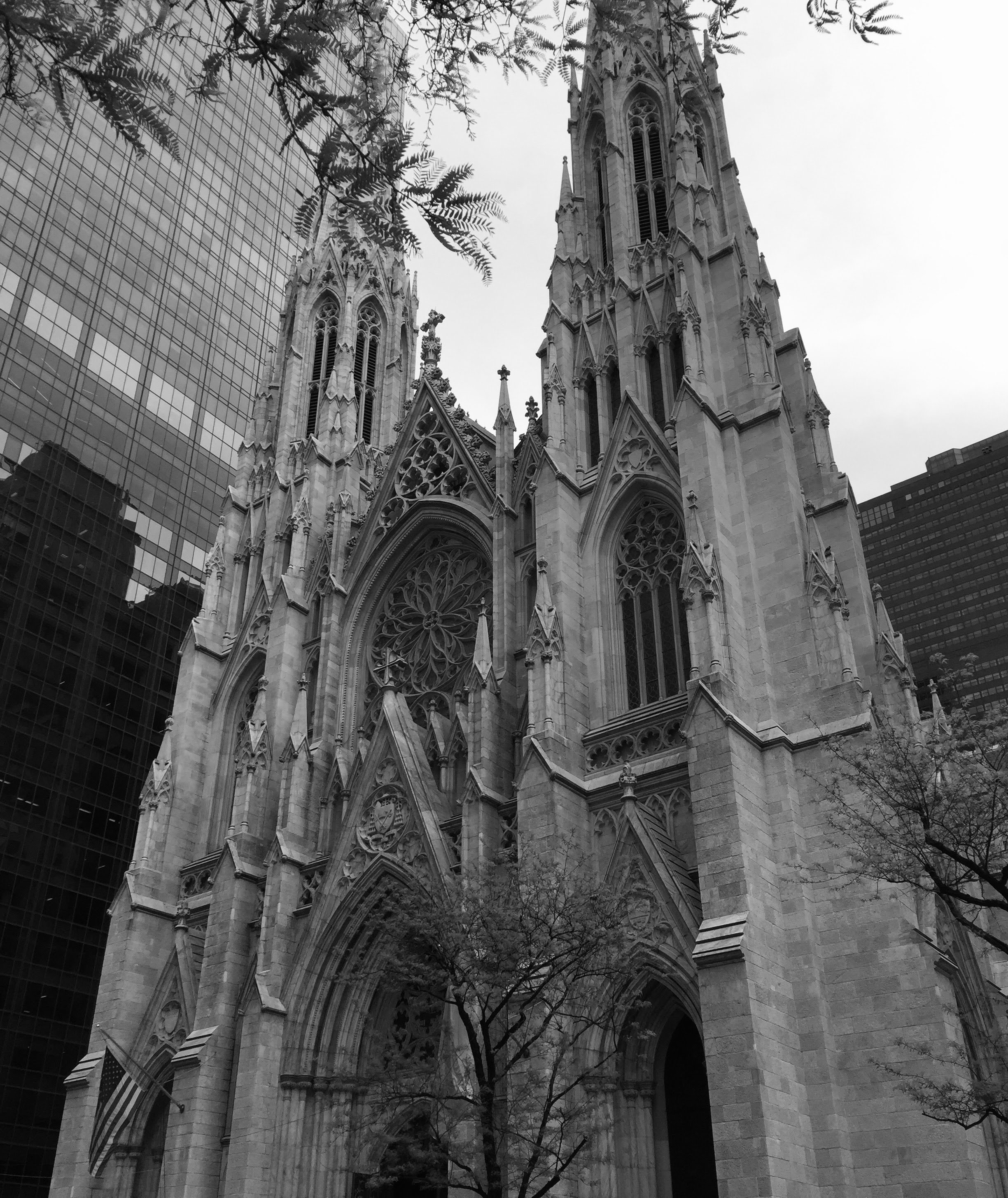 watermarkPhoto-3(8).jpeg