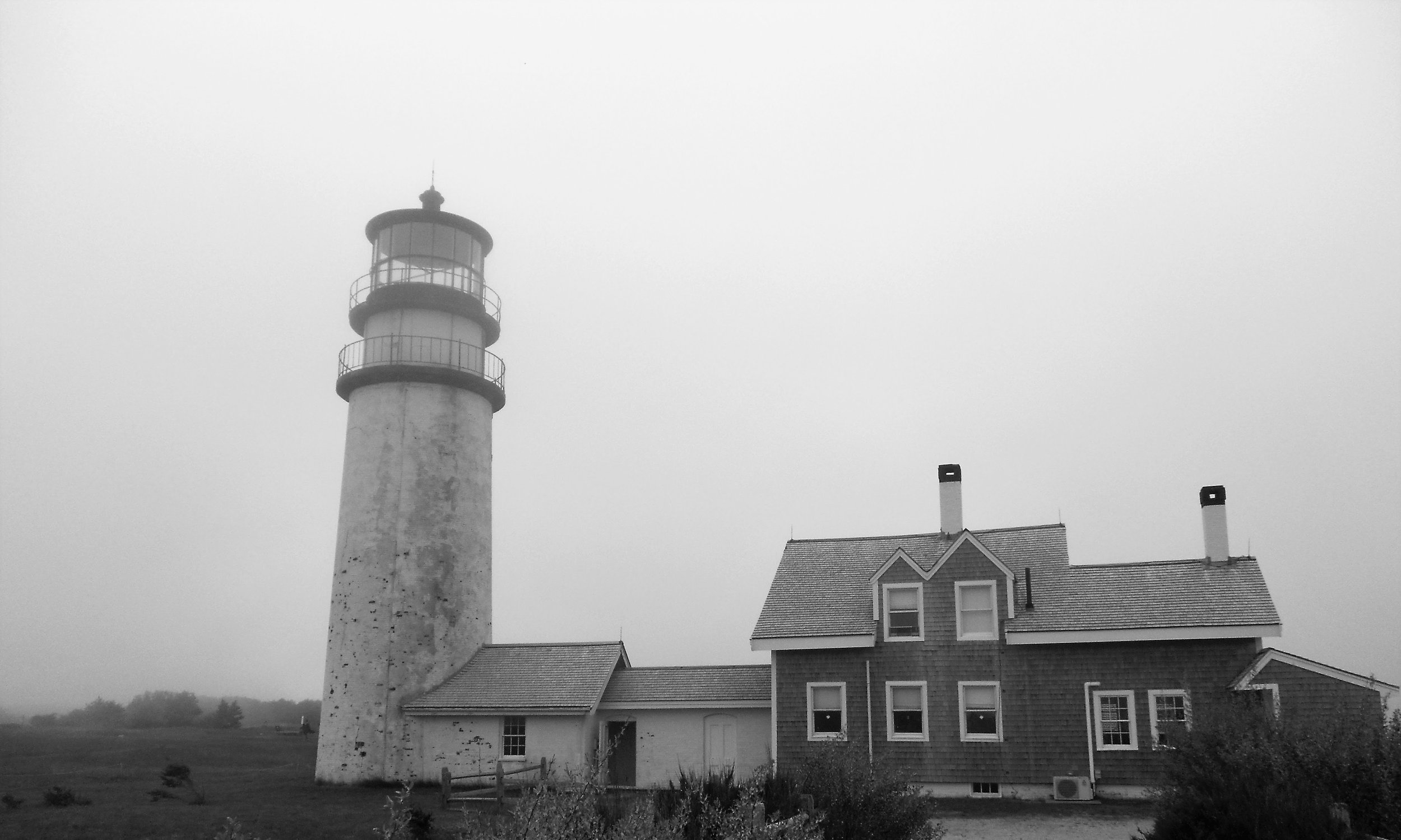 watermarkPhoto-96(8).jpeg