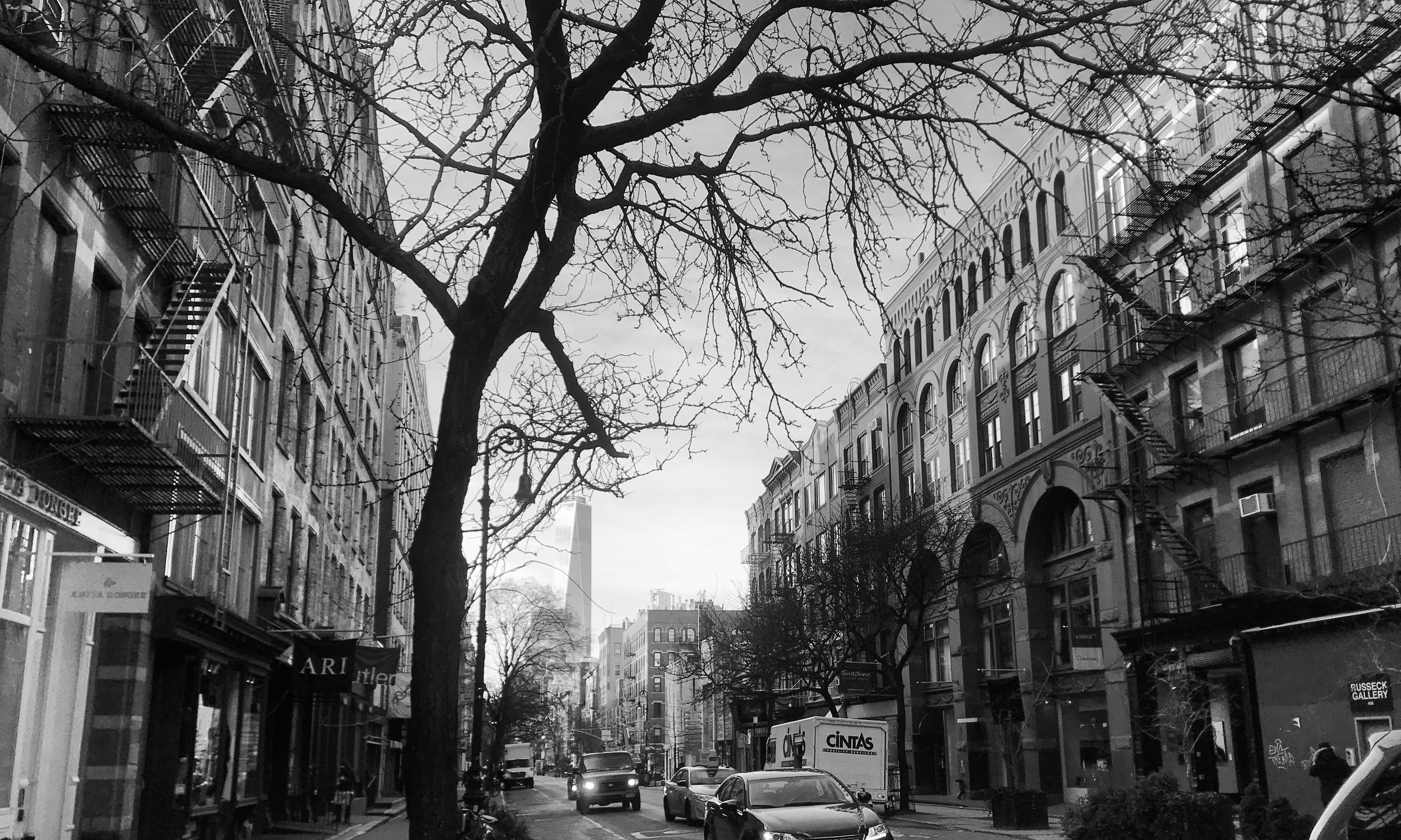 watermarkPhoto-17(11).jpeg
