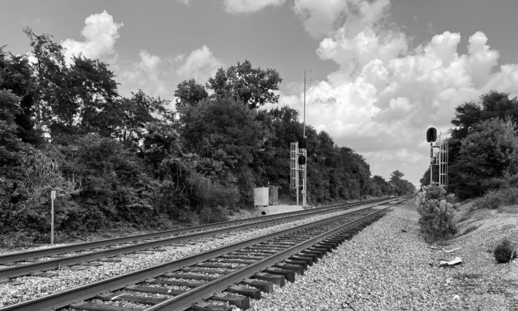 watermarkPhoto-98(9).jpeg