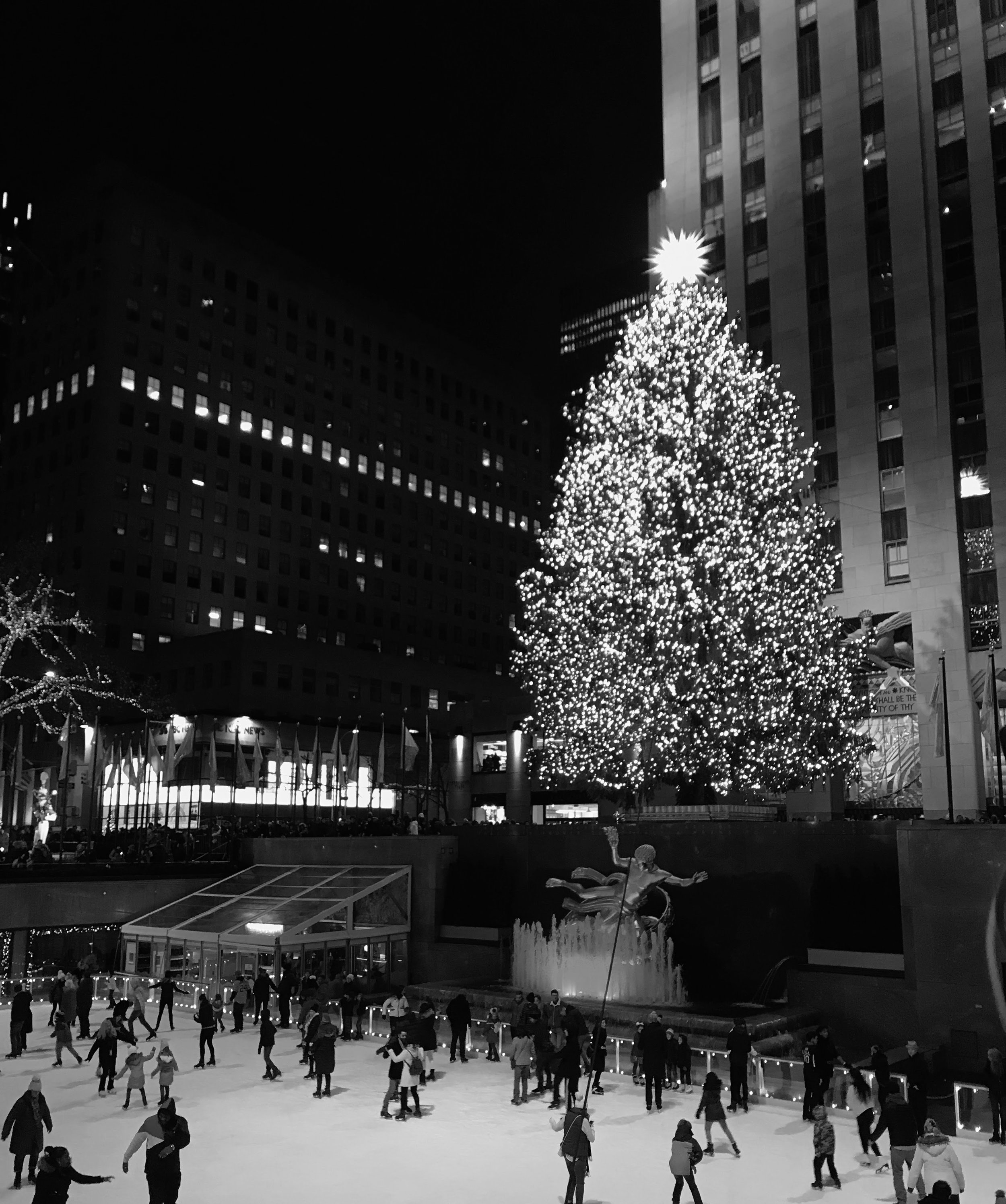watermarkPhoto-39(10).jpeg