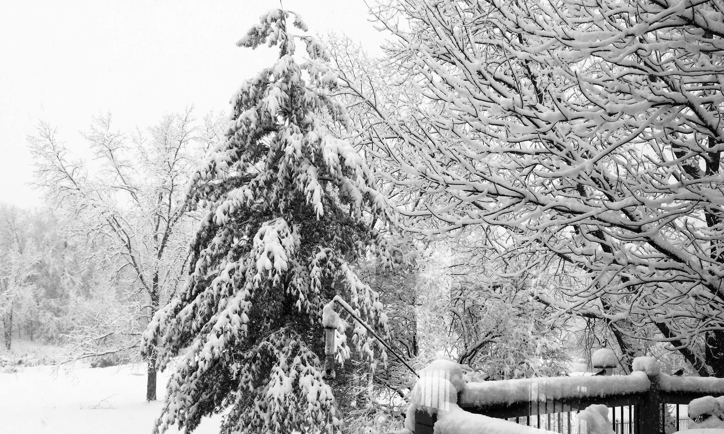 watermarkPhoto-61(9).jpeg