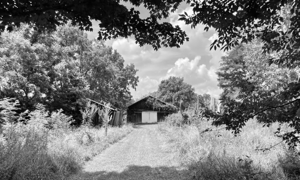watermarkPhoto-95(8).jpeg