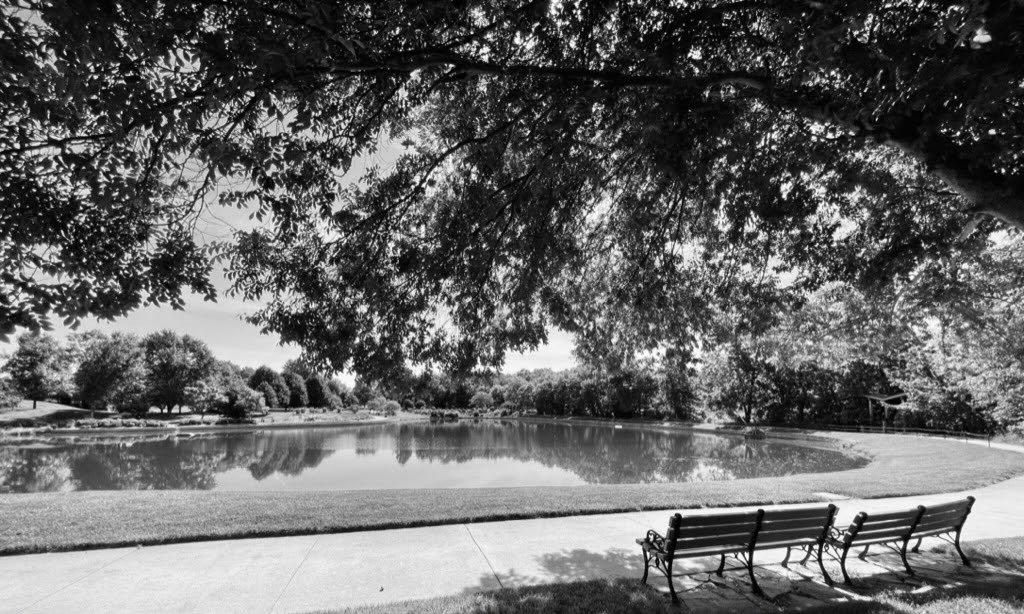 watermarkPhoto-12(11).jpeg